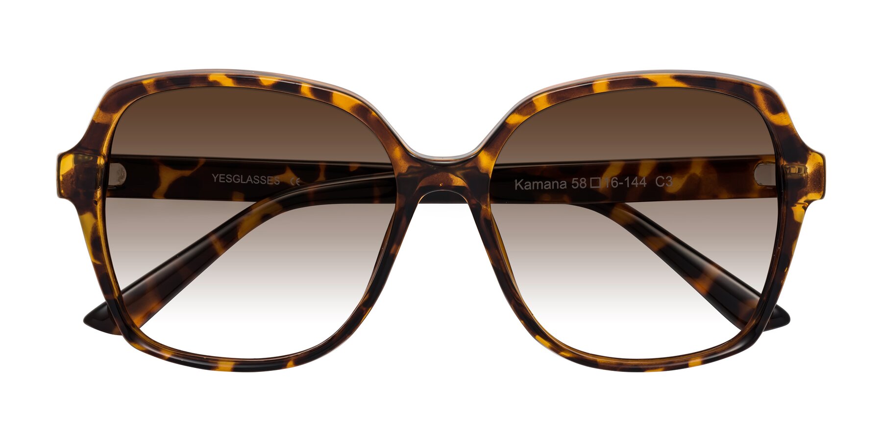 Folded Front of Kamana in Tortoise with Brown Gradient Lenses