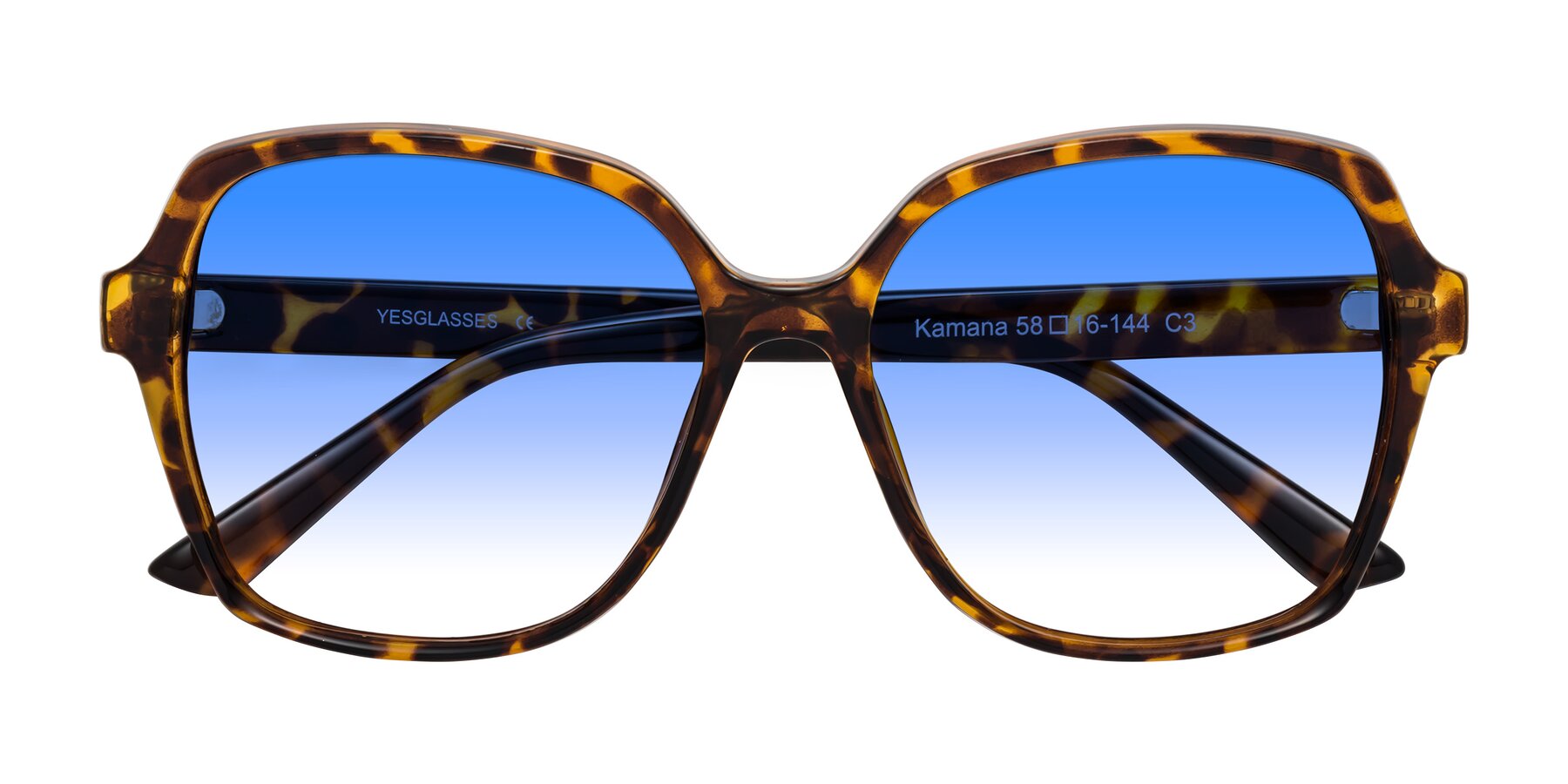 Folded Front of Kamana in Tortoise with Blue Gradient Lenses