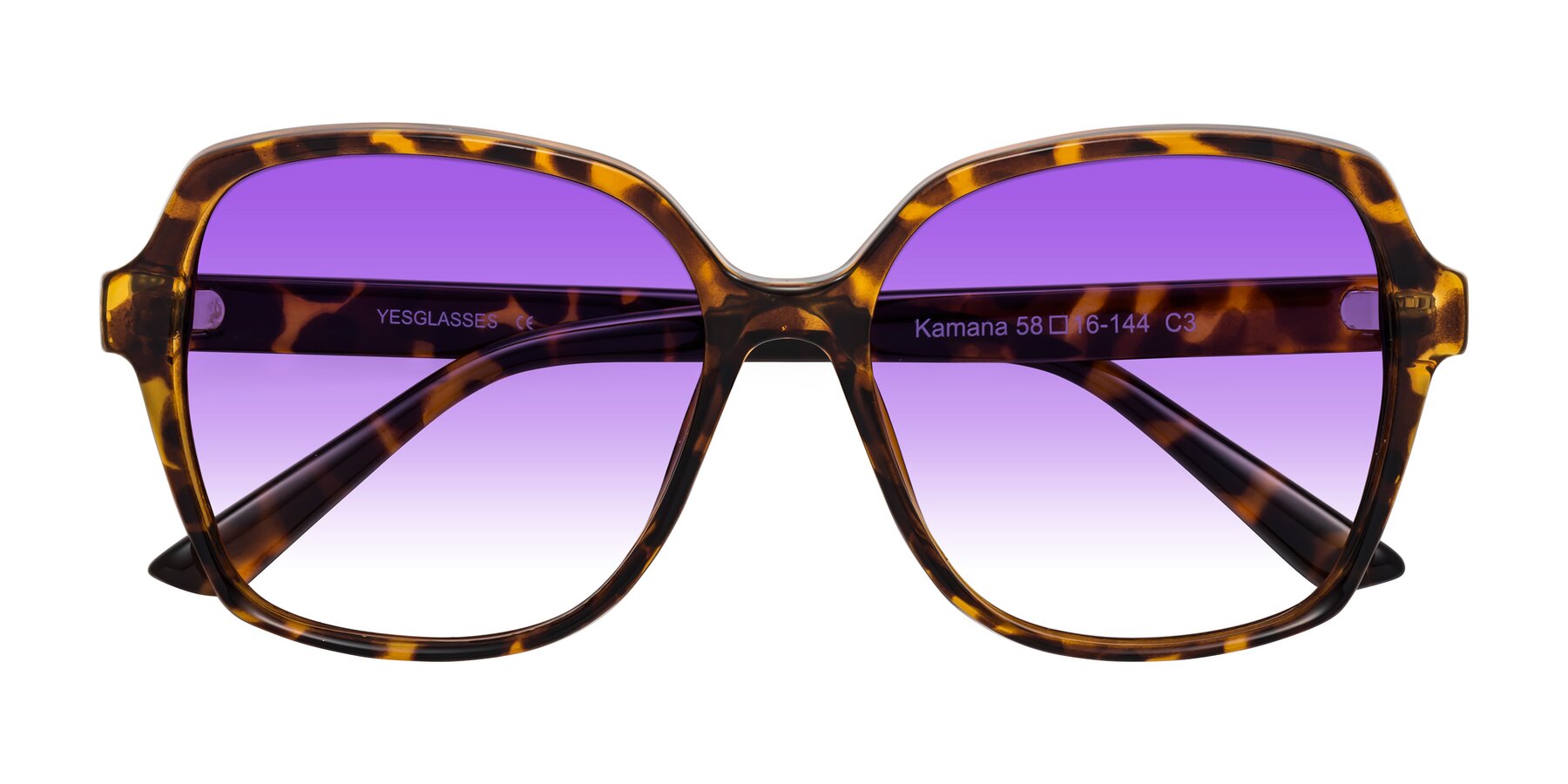 Folded Front of Kamana in Tortoise with Purple Gradient Lenses