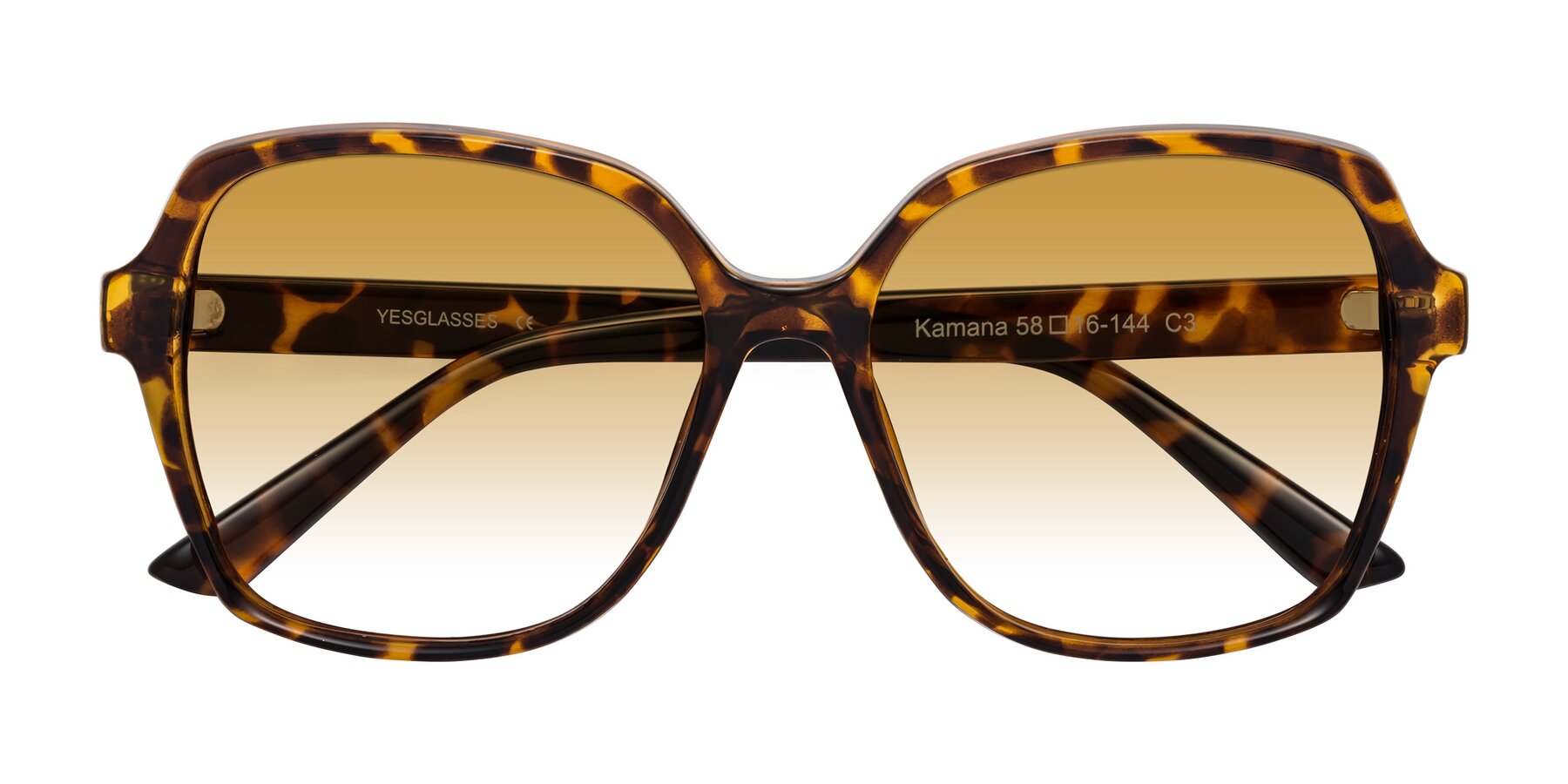 Folded Front of Kamana in Tortoise with Champagne Gradient Lenses