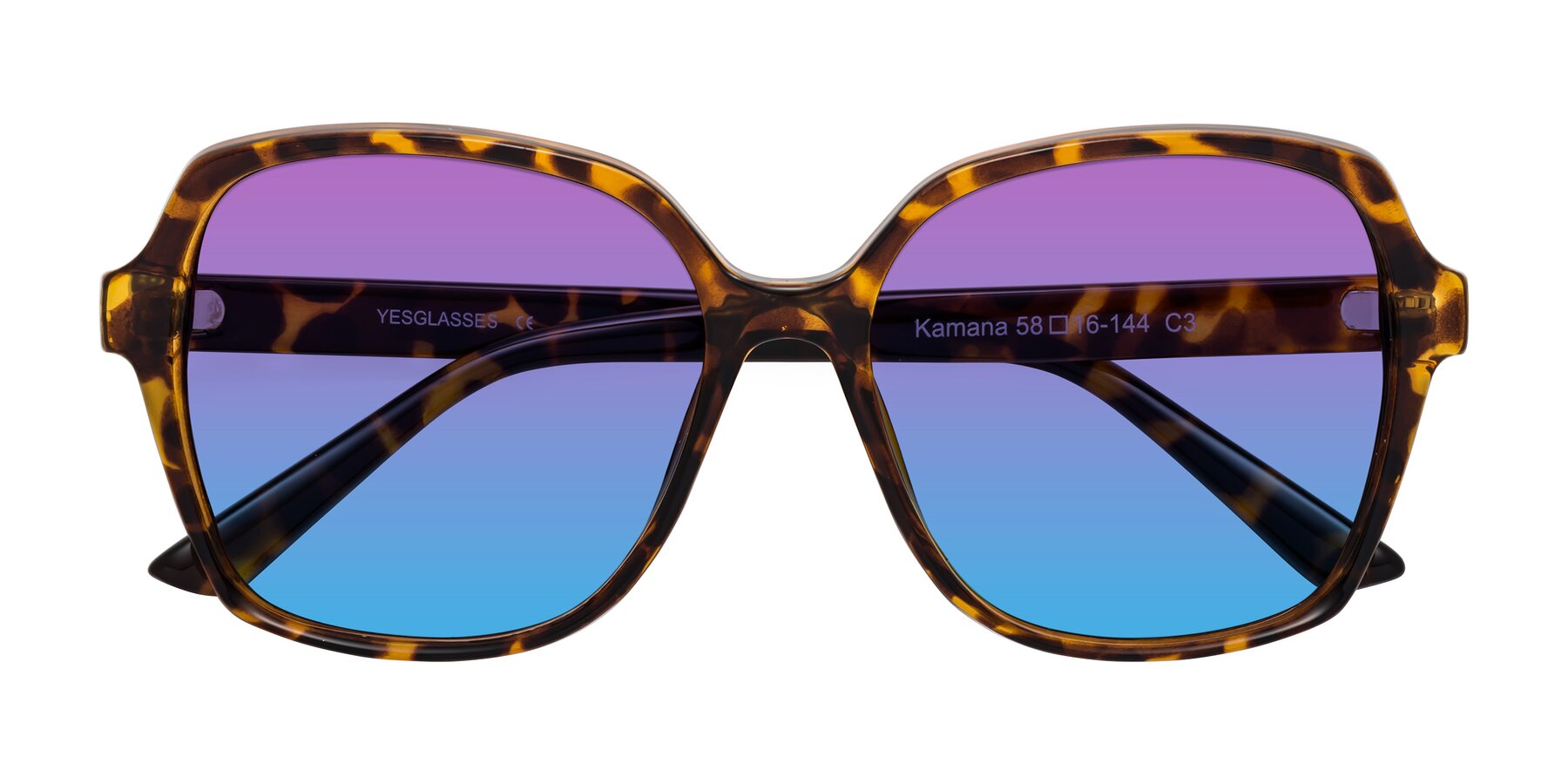 Folded Front of Kamana in Tortoise with Purple / Blue Gradient Lenses