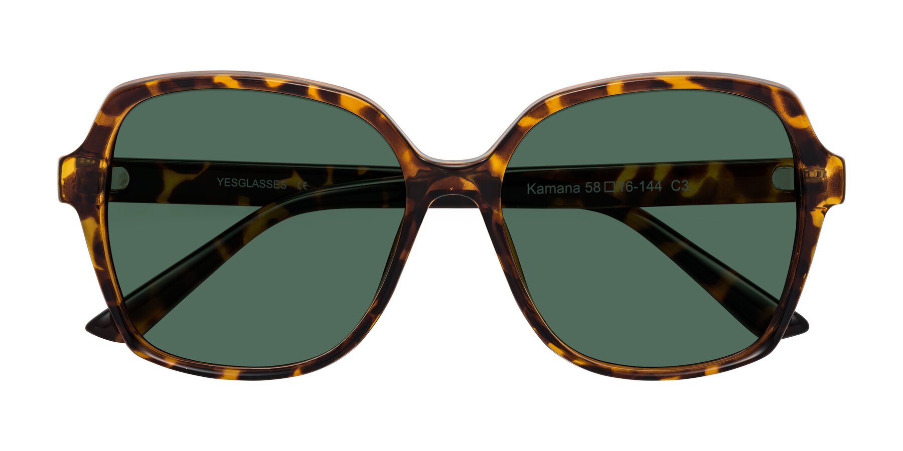 Folded Front of Kamana in Tortoise with Green Polarized Lenses