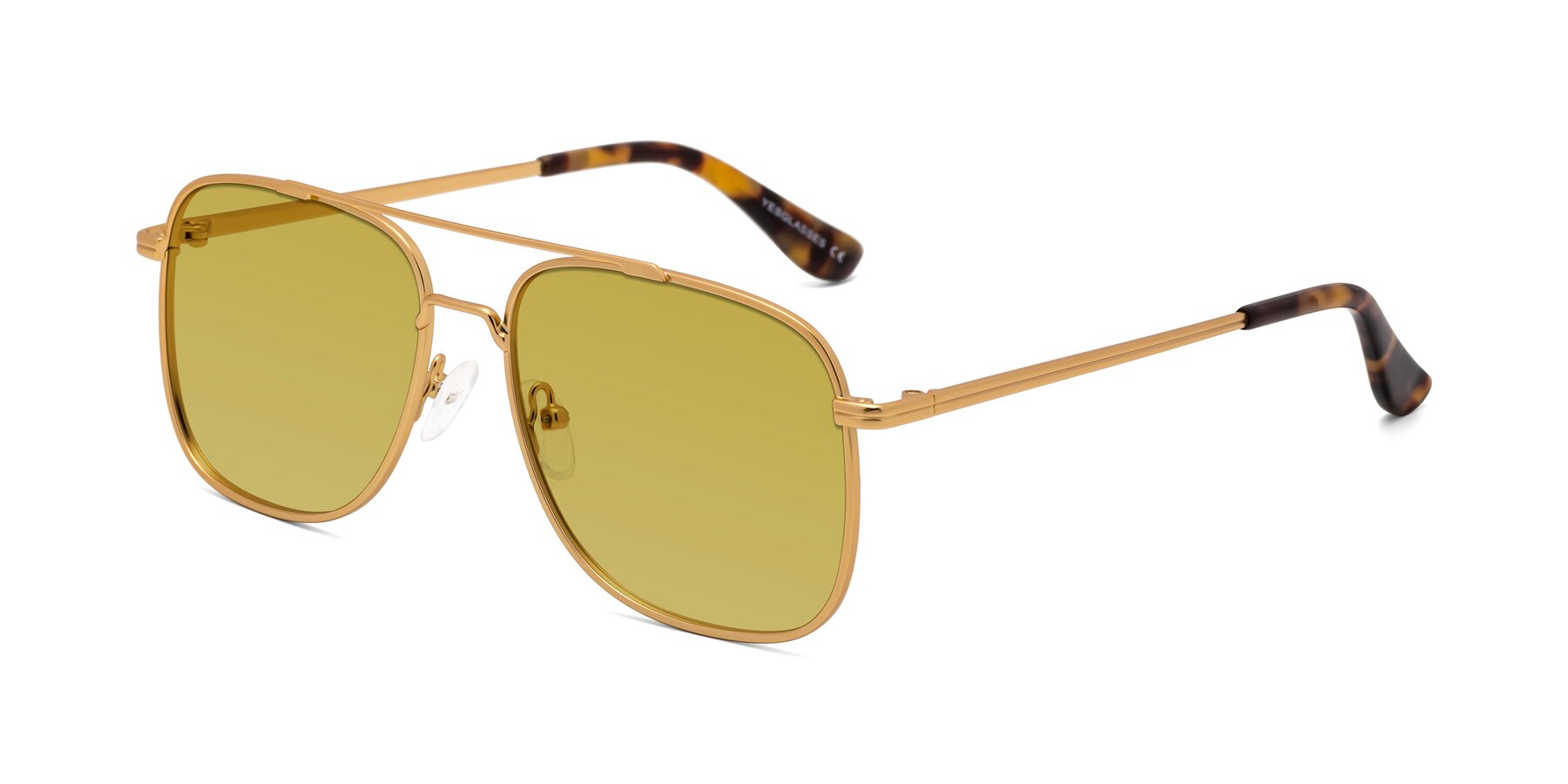 Angle of Merry in Matte Gold with Champagne Tinted Lenses