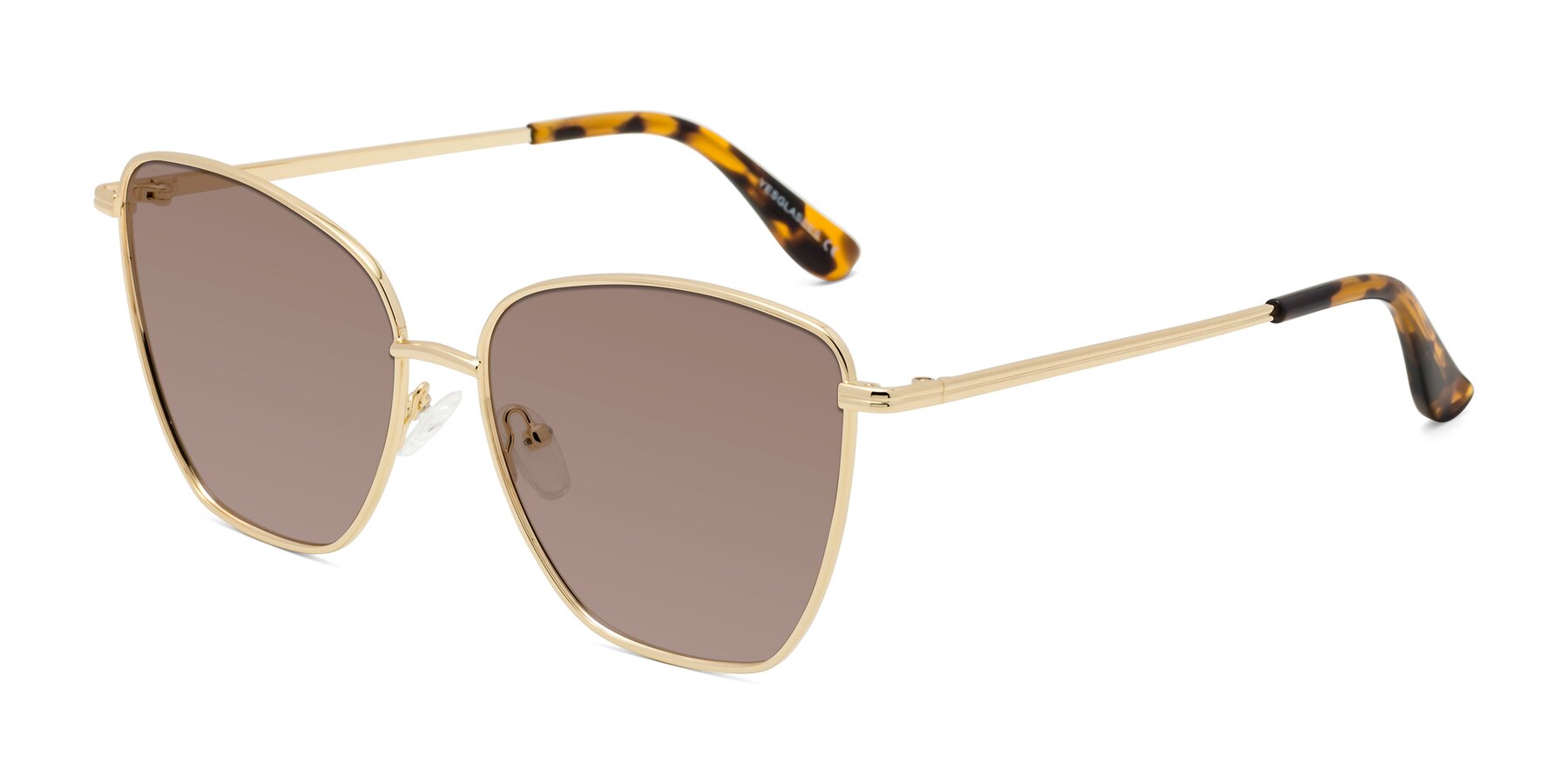 Angle of Oysters in Gold with Medium Brown Tinted Lenses