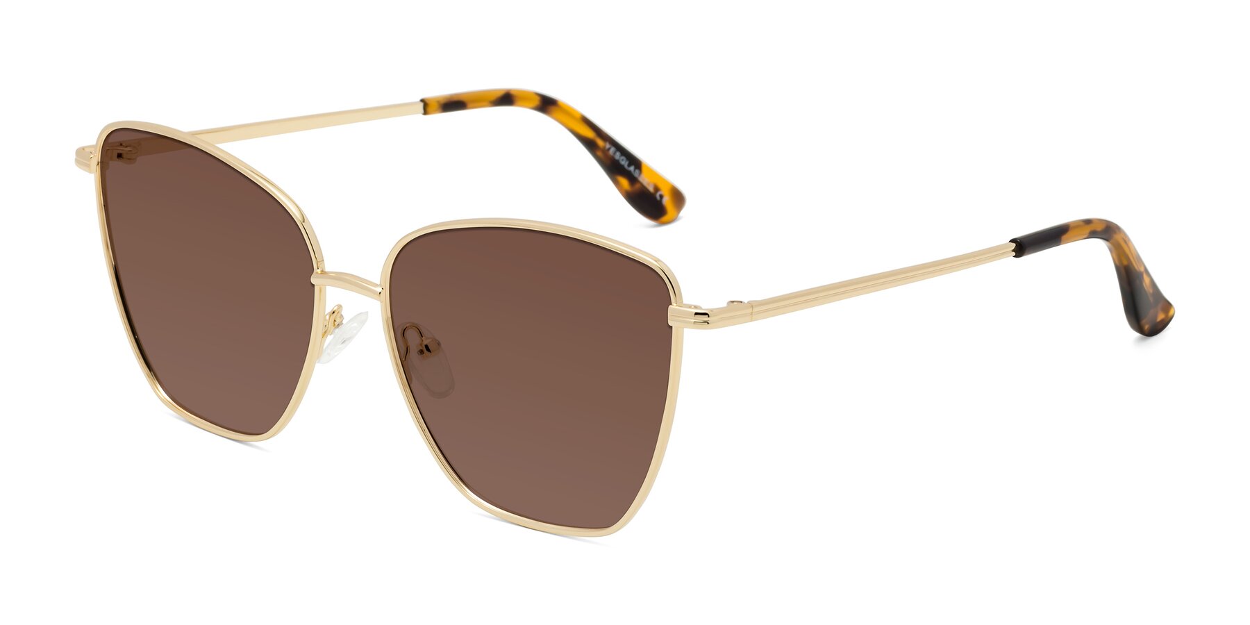 Angle of Oysters in Gold with Brown Tinted Lenses