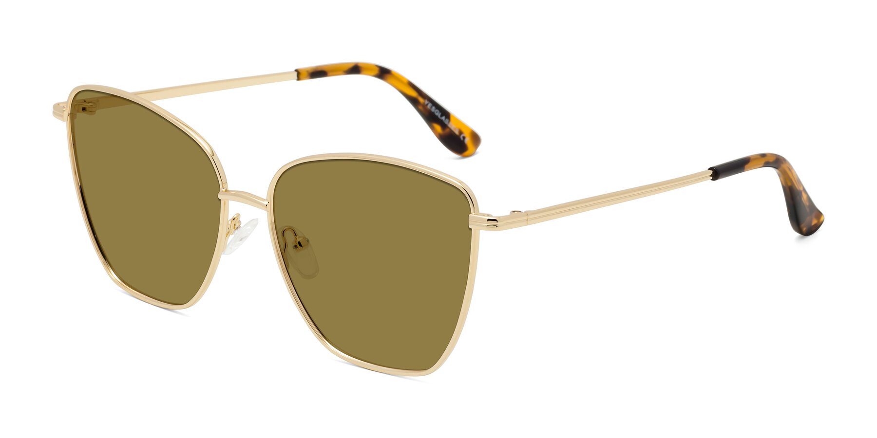 Angle of Oysters in Gold with Brown Polarized Lenses