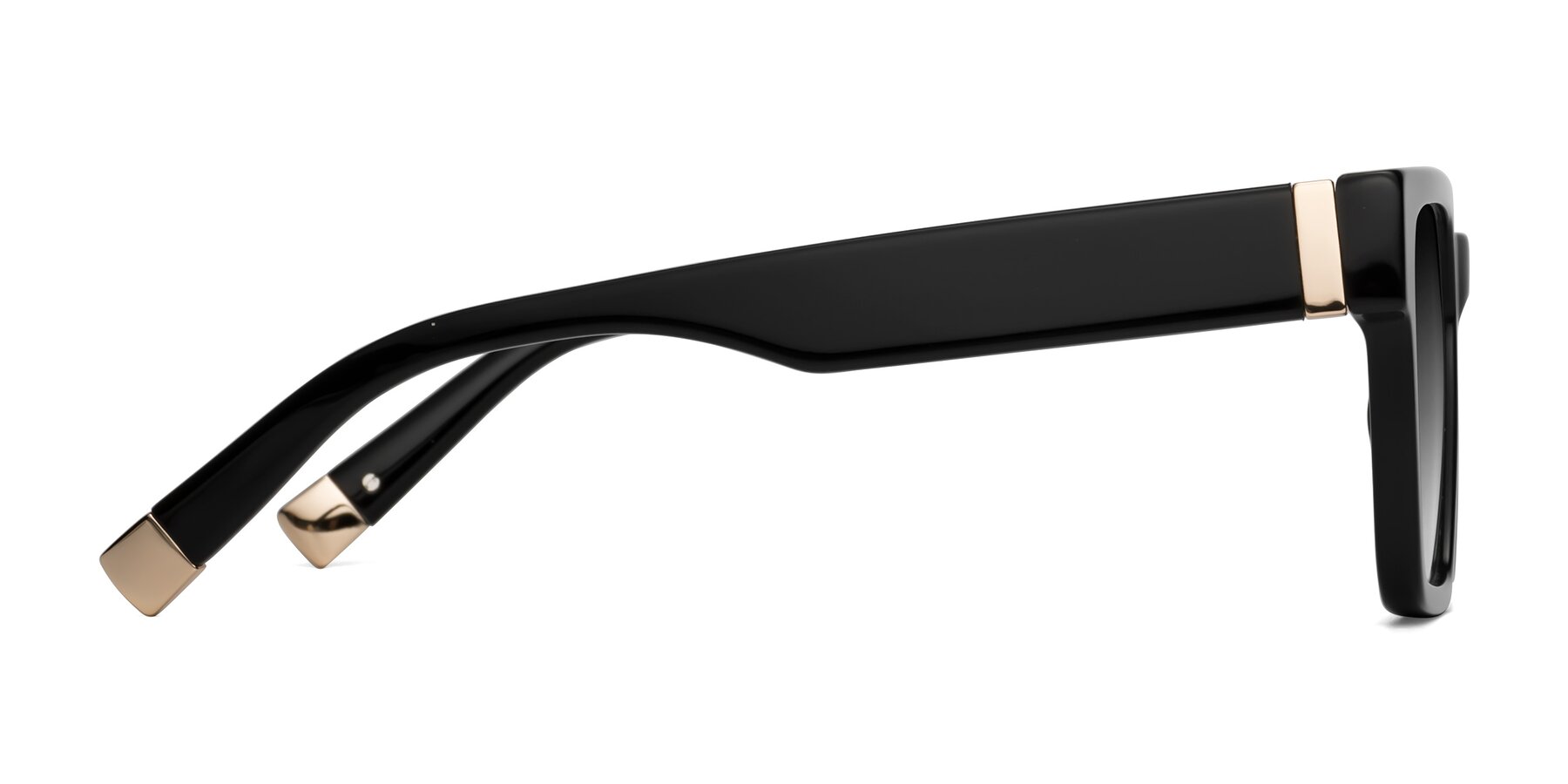 Side of Prince in Black with Gray Gradient Lenses