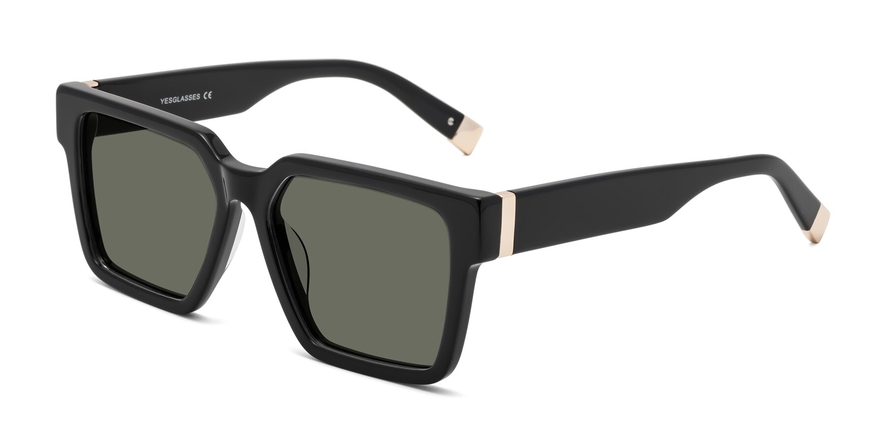 Angle of Prince in Black with Gray Polarized Lenses