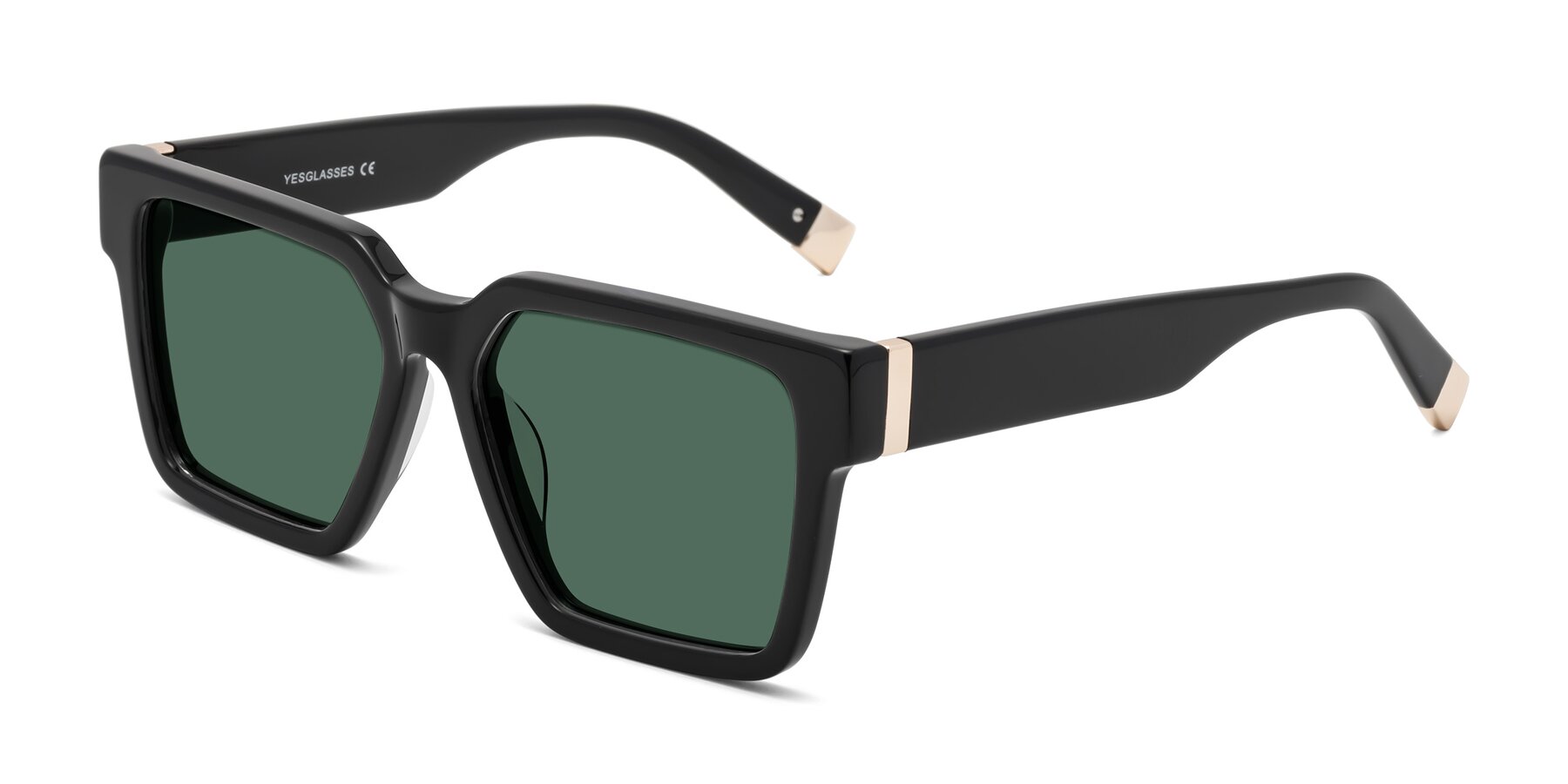 Angle of Prince in Black with Green Polarized Lenses