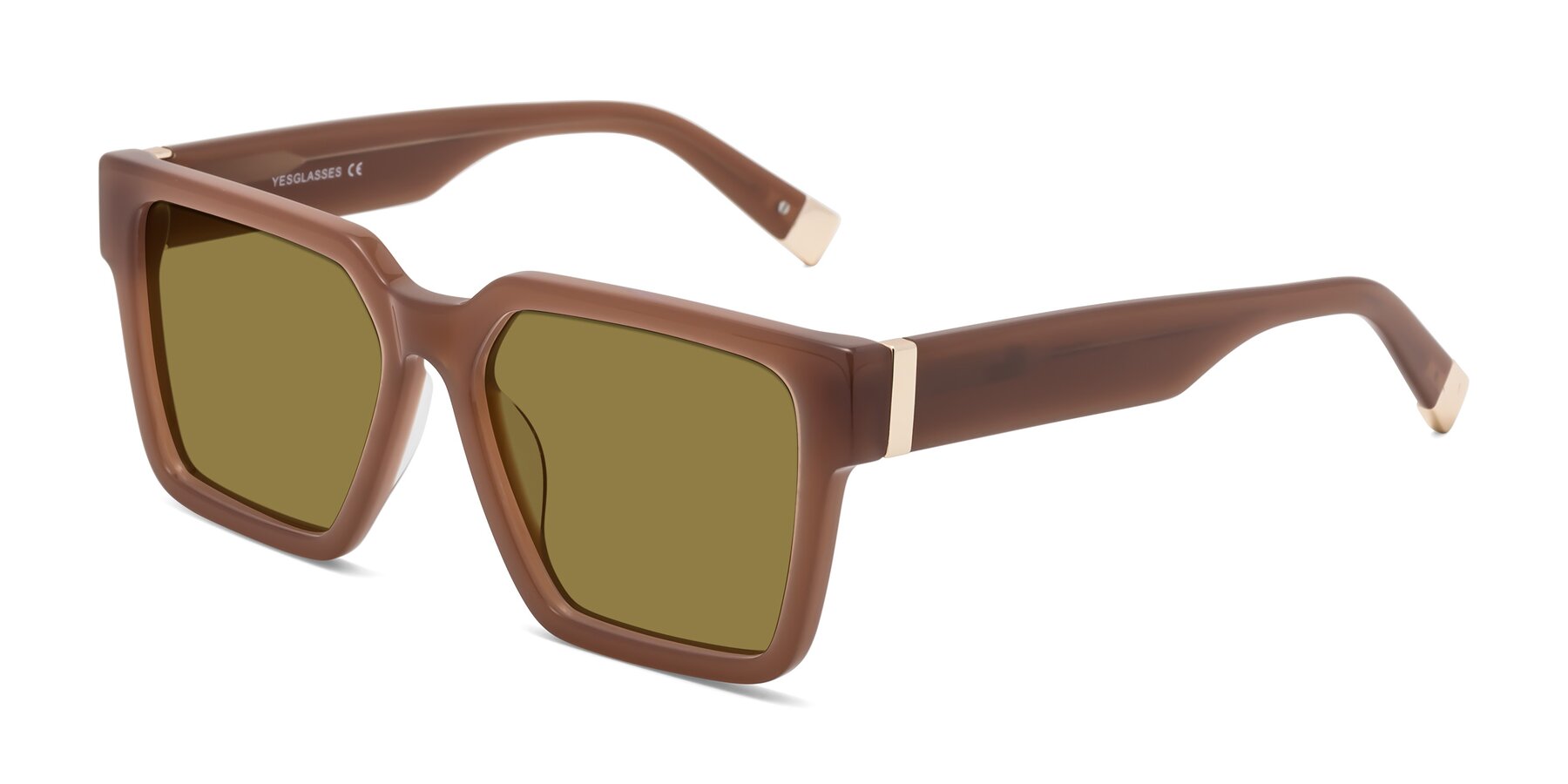 Angle of Prince in Caramel with Brown Polarized Lenses