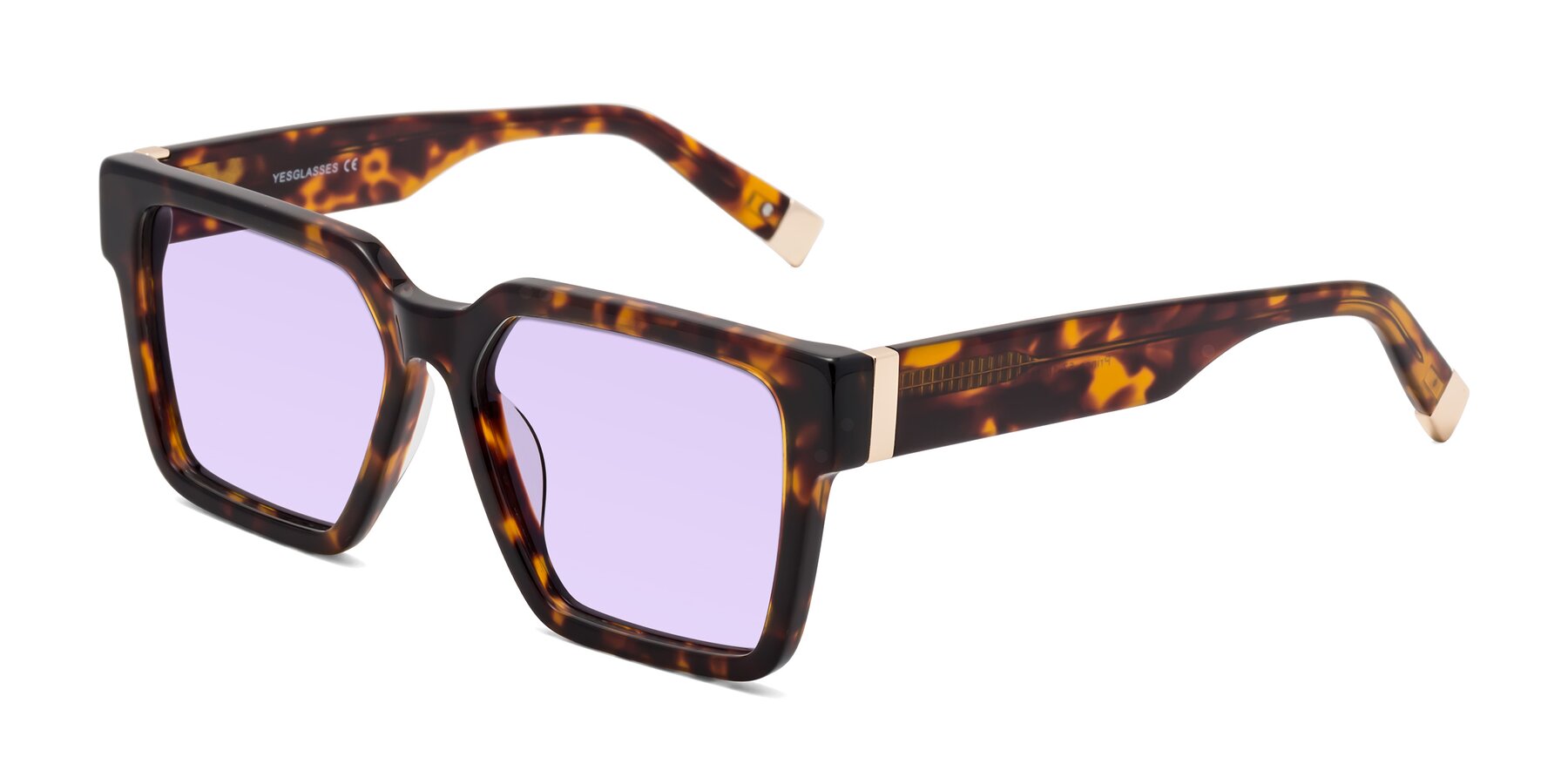 Angle of Prince in Tortoise with Light Purple Tinted Lenses