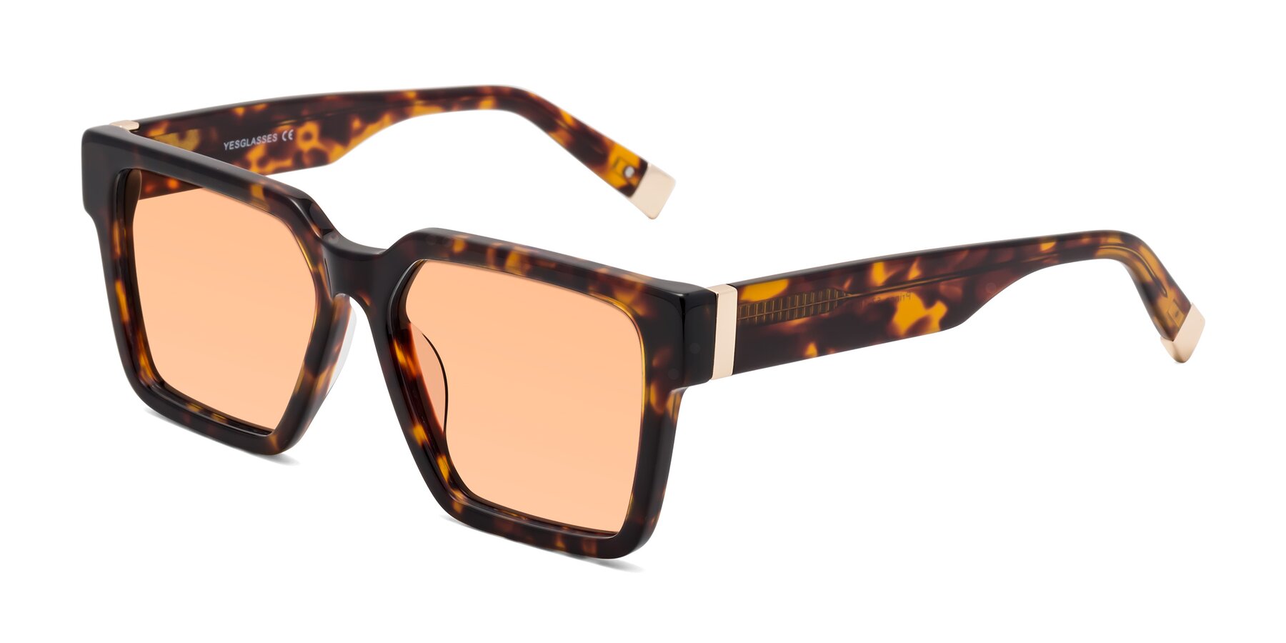 Angle of Prince in Tortoise with Light Orange Tinted Lenses