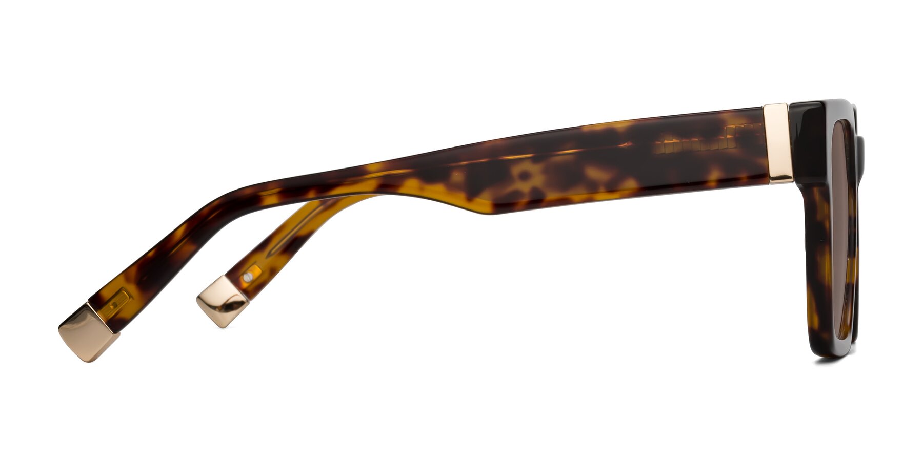 Side of Prince in Tortoise with Medium Brown Tinted Lenses