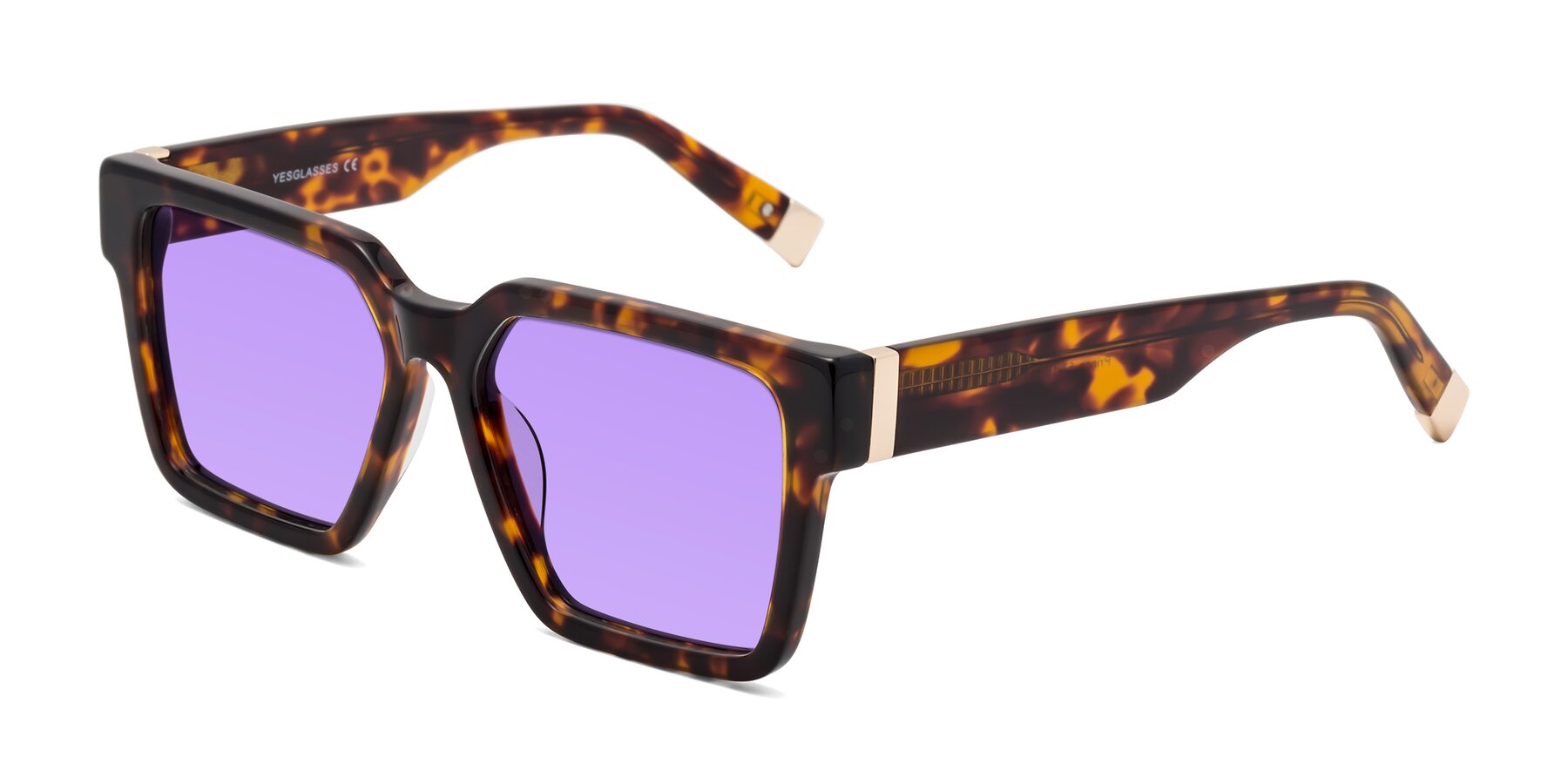 Angle of Prince in Tortoise with Medium Purple Tinted Lenses