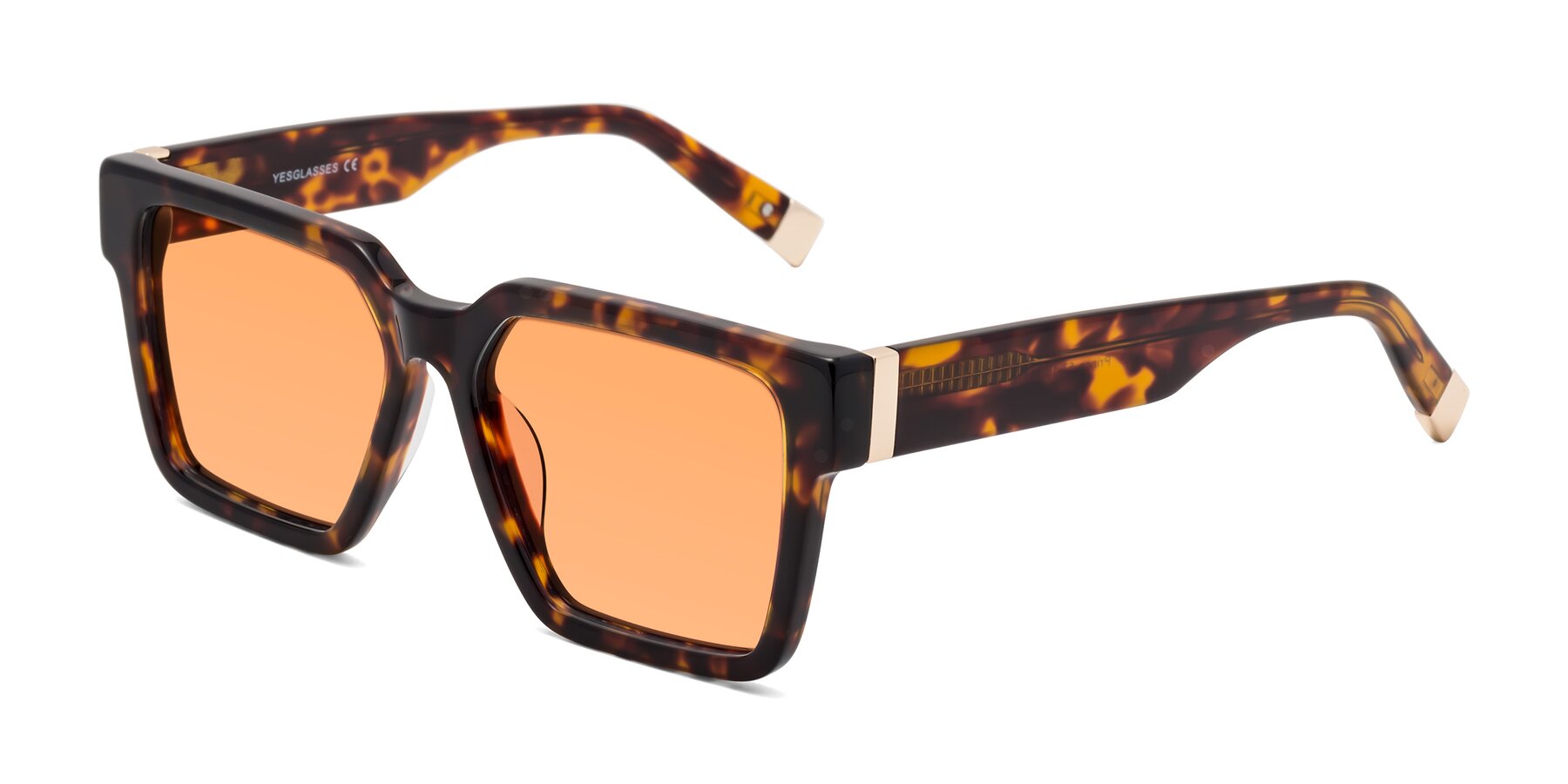 Angle of Prince in Tortoise with Medium Orange Tinted Lenses