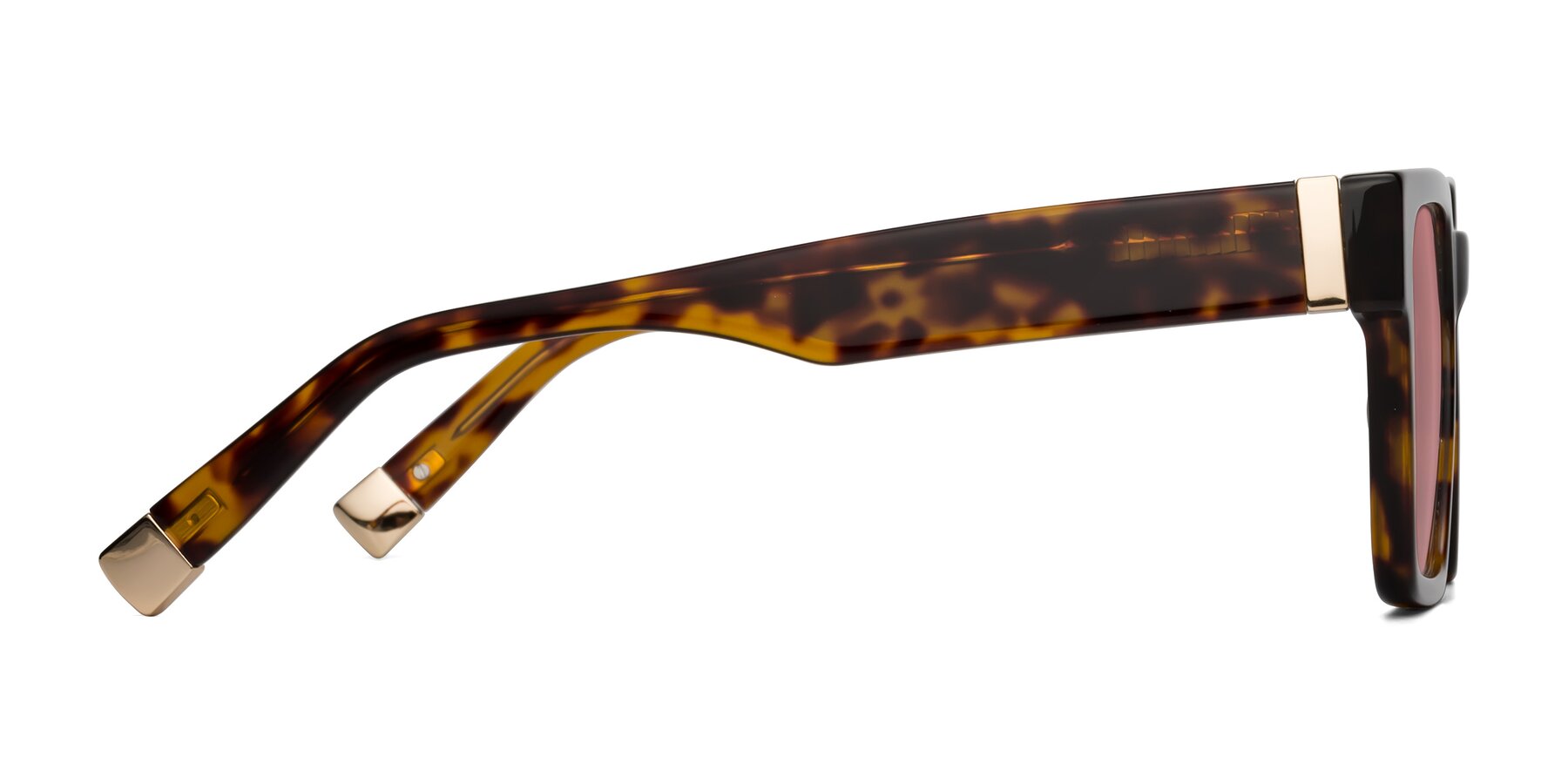 Side of Prince in Tortoise with Medium Garnet Tinted Lenses