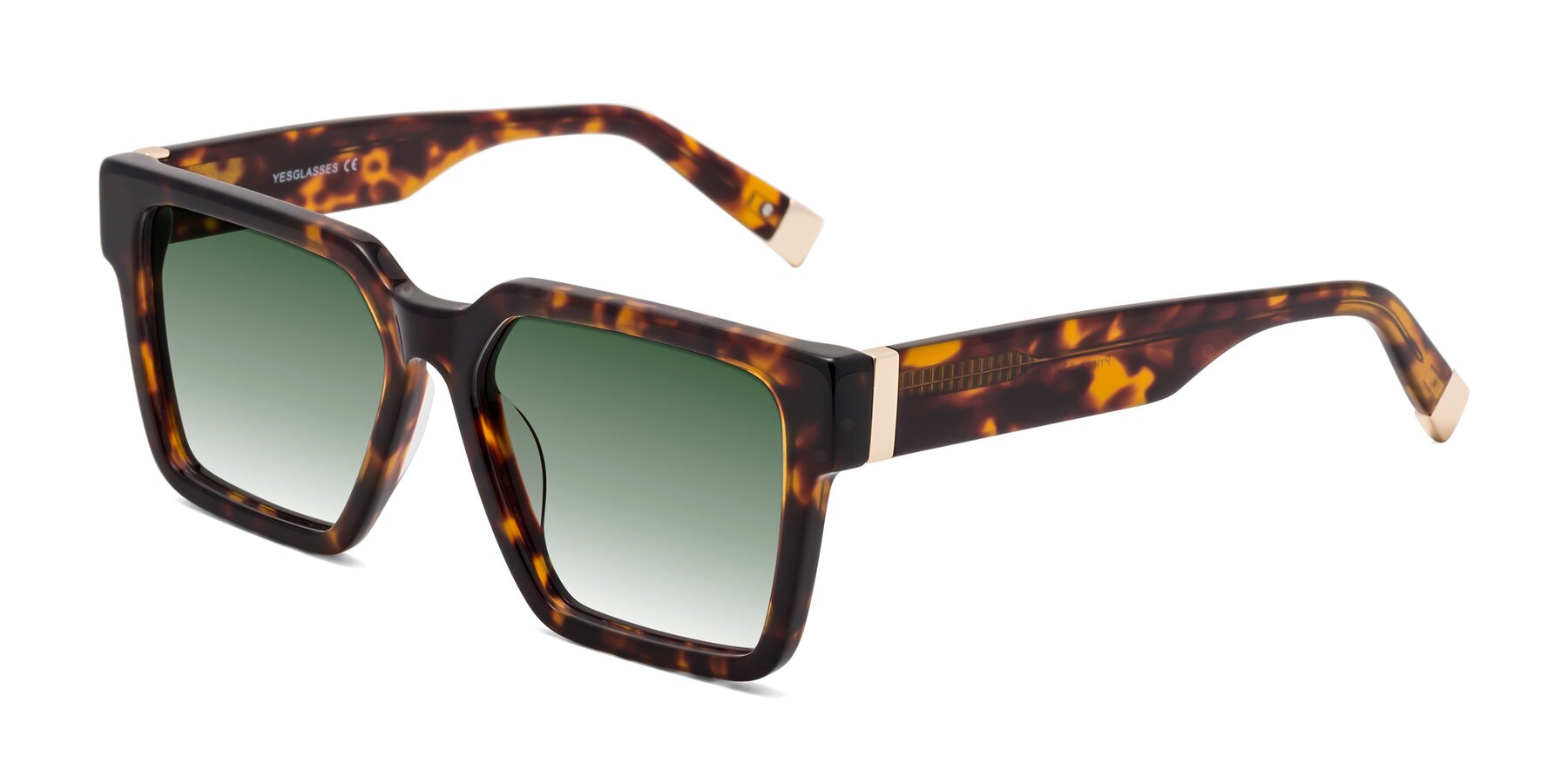 Angle of Prince in Tortoise with Green Gradient Lenses