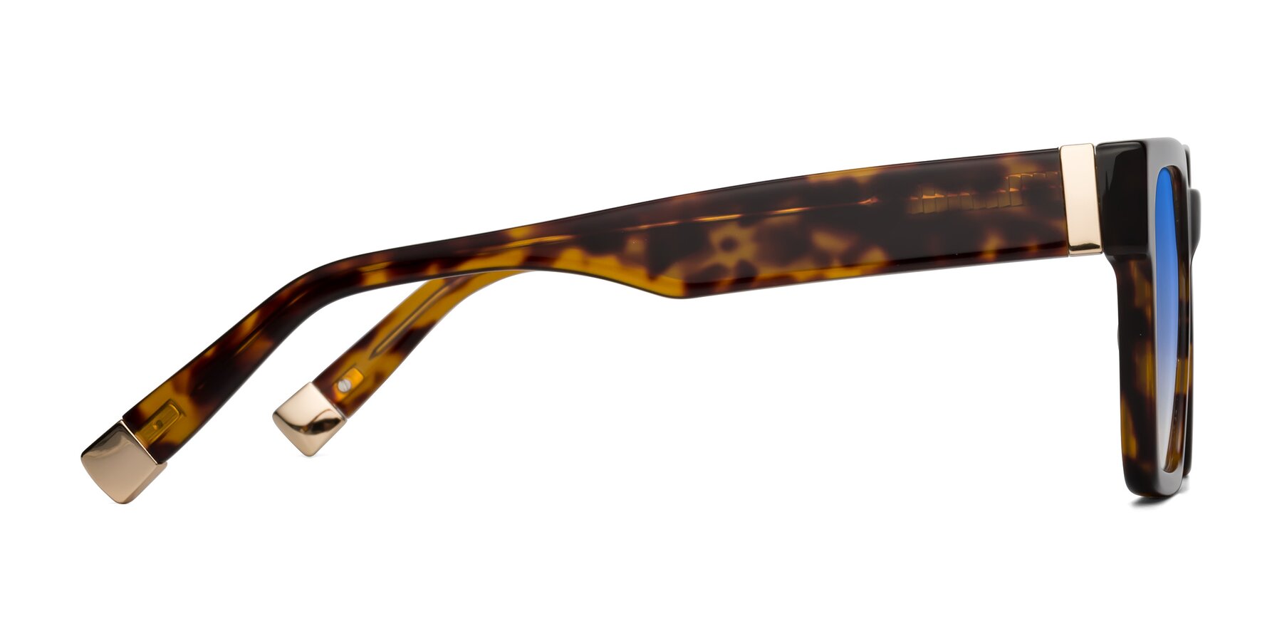 Side of Prince in Tortoise with Blue Gradient Lenses