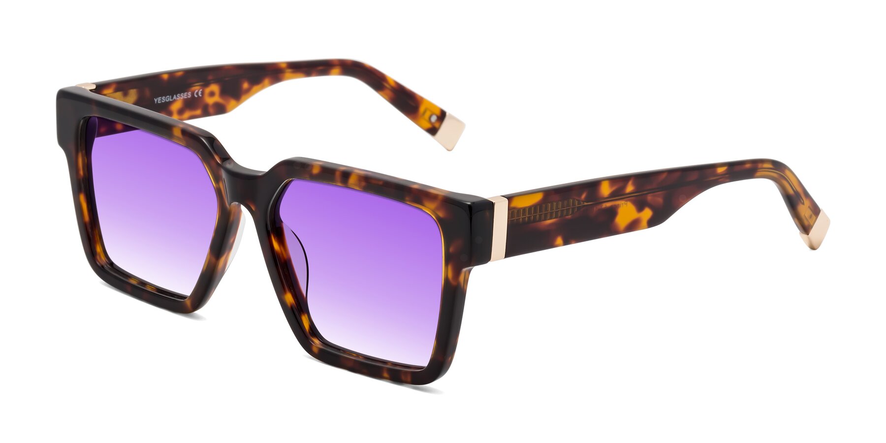 Angle of Prince in Tortoise with Purple Gradient Lenses