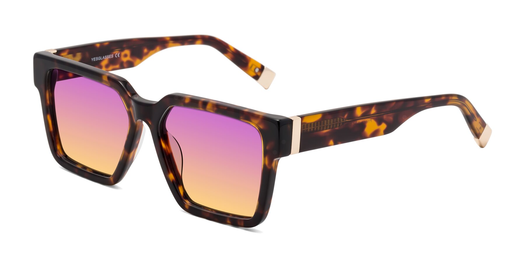 Angle of Prince in Tortoise with Purple / Yellow Gradient Lenses