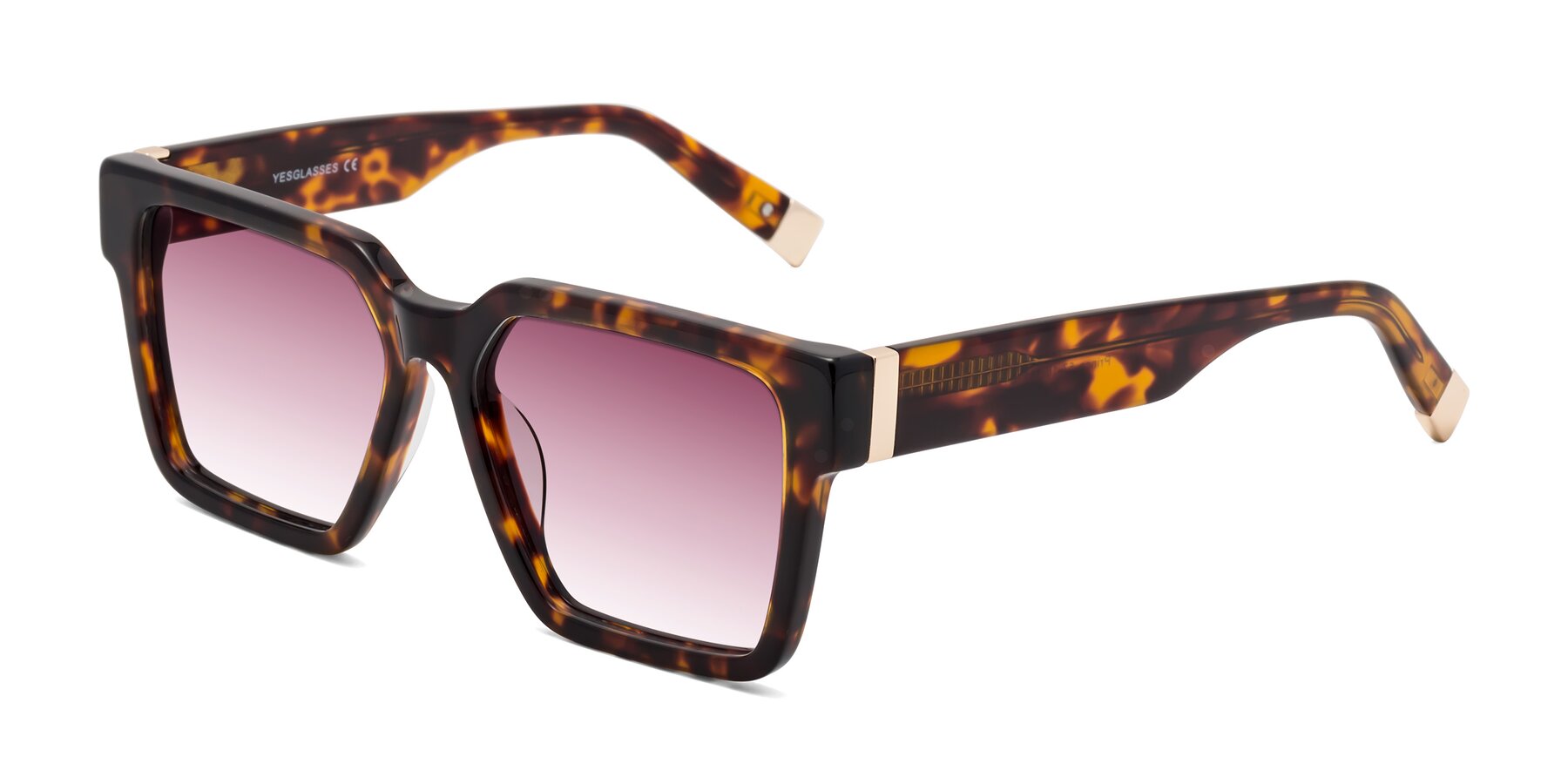 Angle of Prince in Tortoise with Wine Gradient Lenses