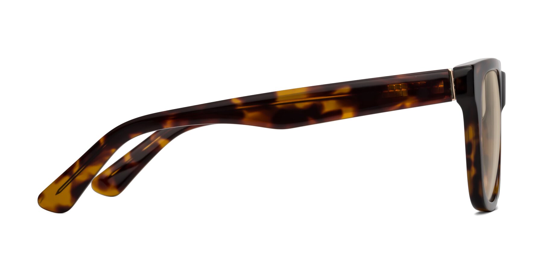 Side of Pearls in Tortoise with Light Brown Tinted Lenses