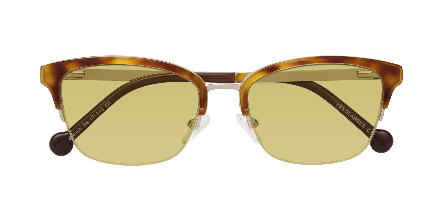 Folded Front of Jewels in Tortoise-Gold with Medium Champagne Tinted Lenses