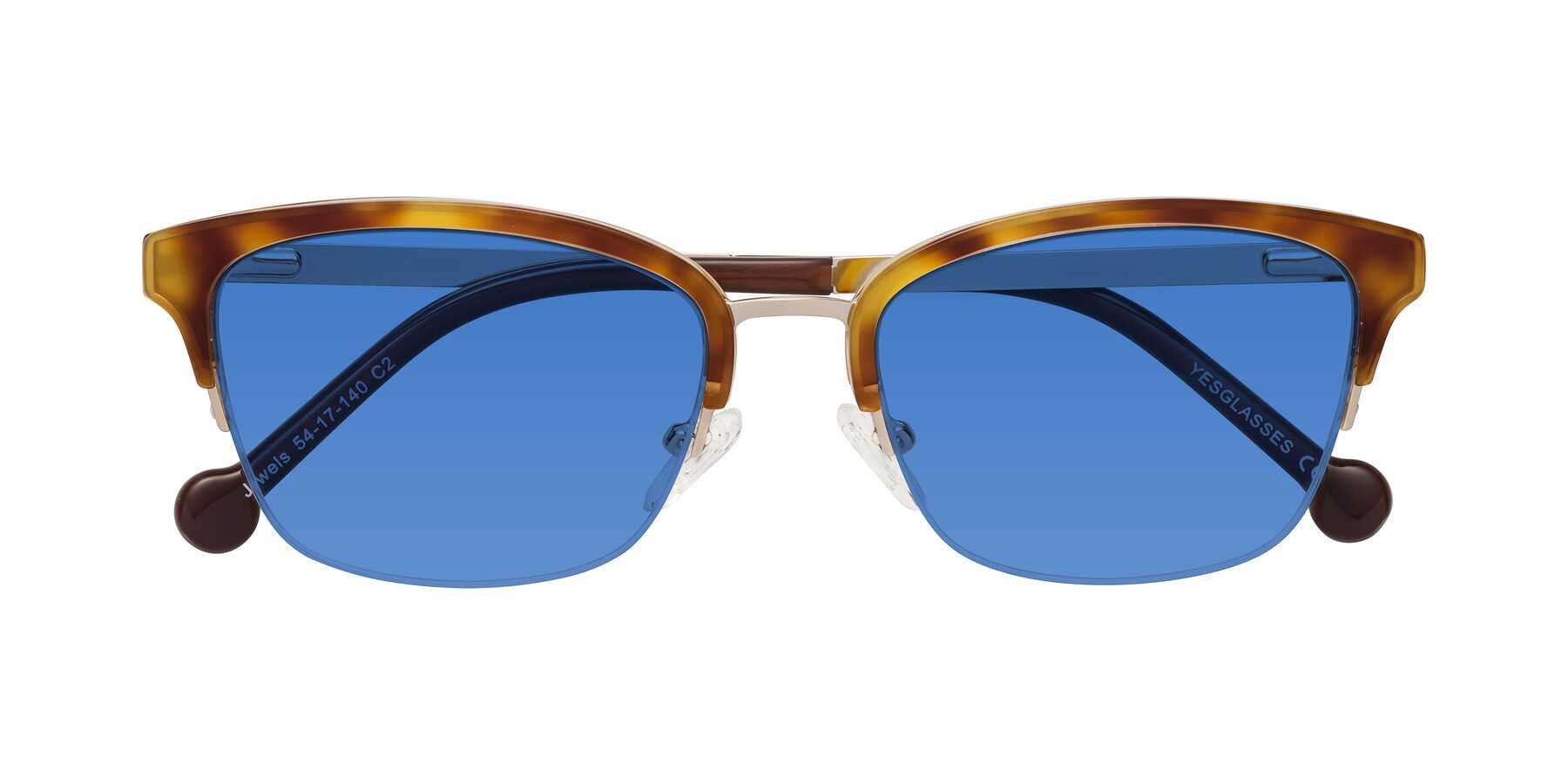 Folded Front of Jewels in Tortoise-Gold with Blue Tinted Lenses