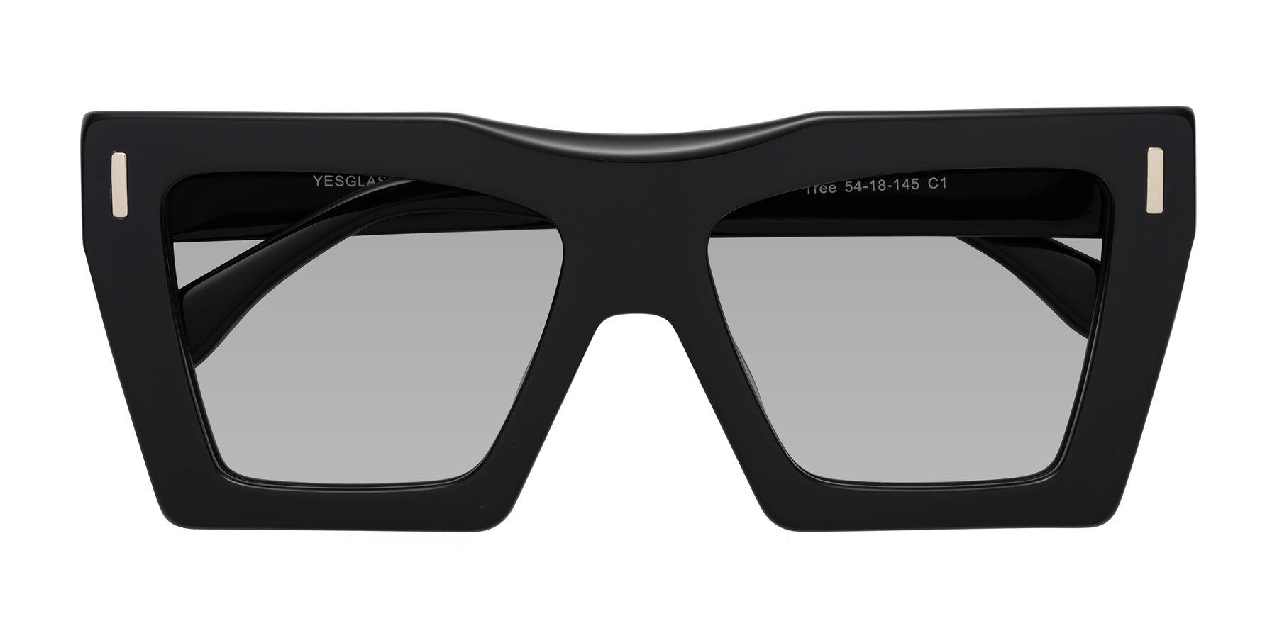 Folded Front of Tree in Black with Light Gray Tinted Lenses