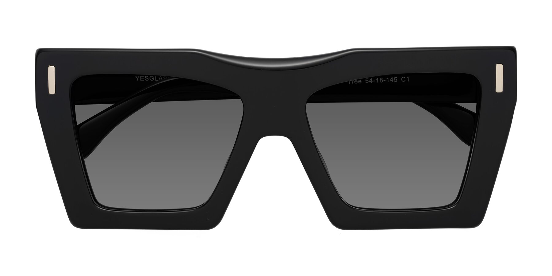 Folded Front of Tree in Black with Medium Gray Tinted Lenses