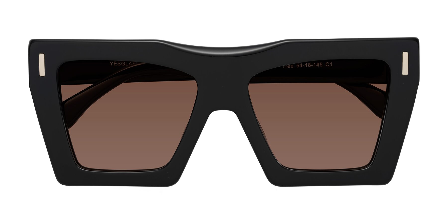 Folded Front of Tree in Black with Brown Tinted Lenses