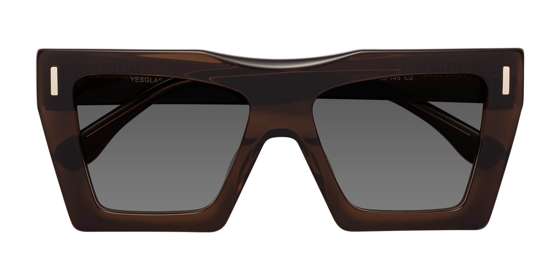 Folded Front of Tree in Brown with Medium Gray Tinted Lenses