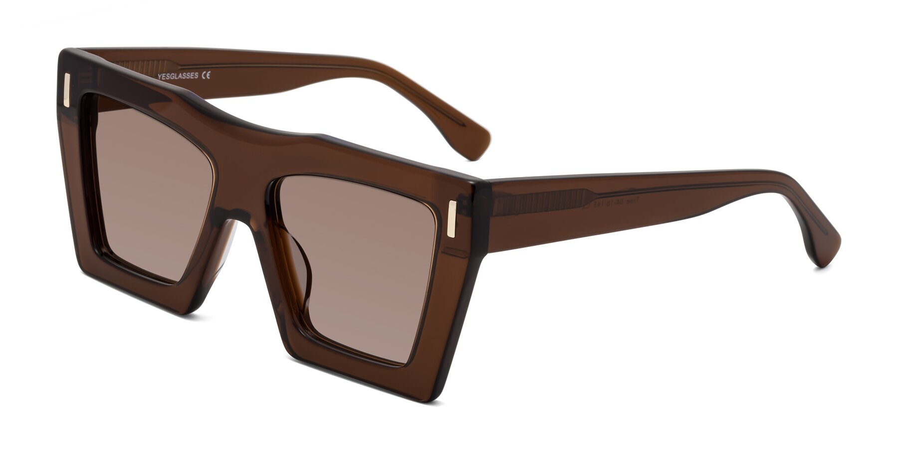 Angle of Tree in Brown with Medium Brown Tinted Lenses