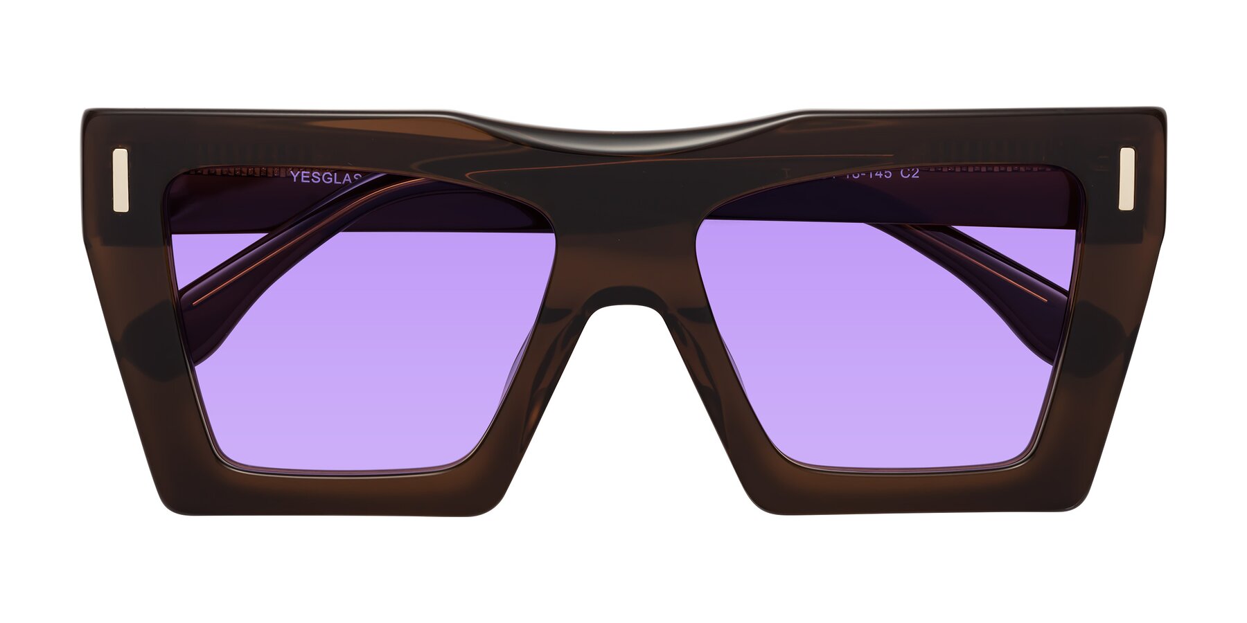 Folded Front of Tree in Brown with Medium Purple Tinted Lenses