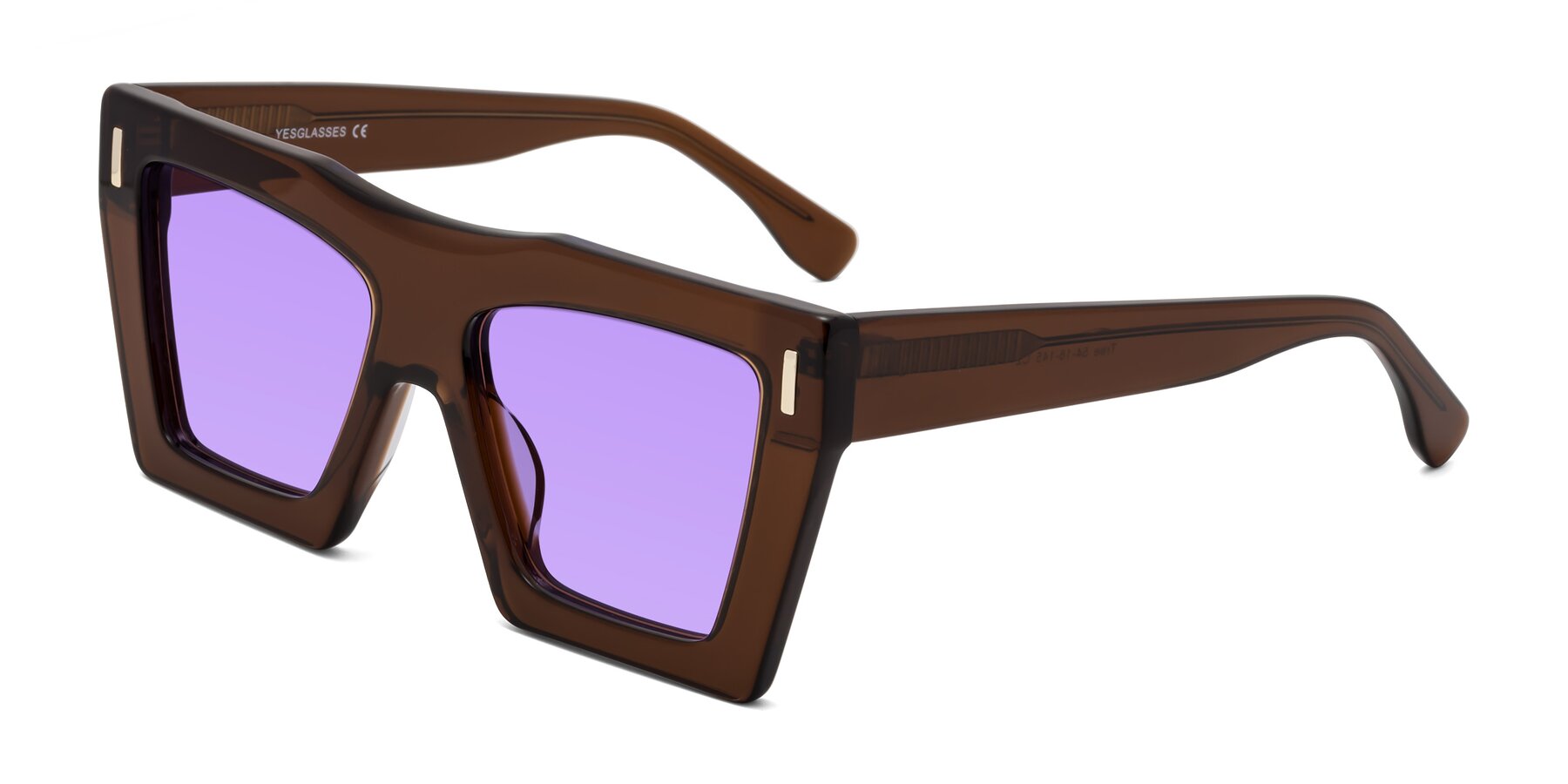 Angle of Tree in Brown with Medium Purple Tinted Lenses