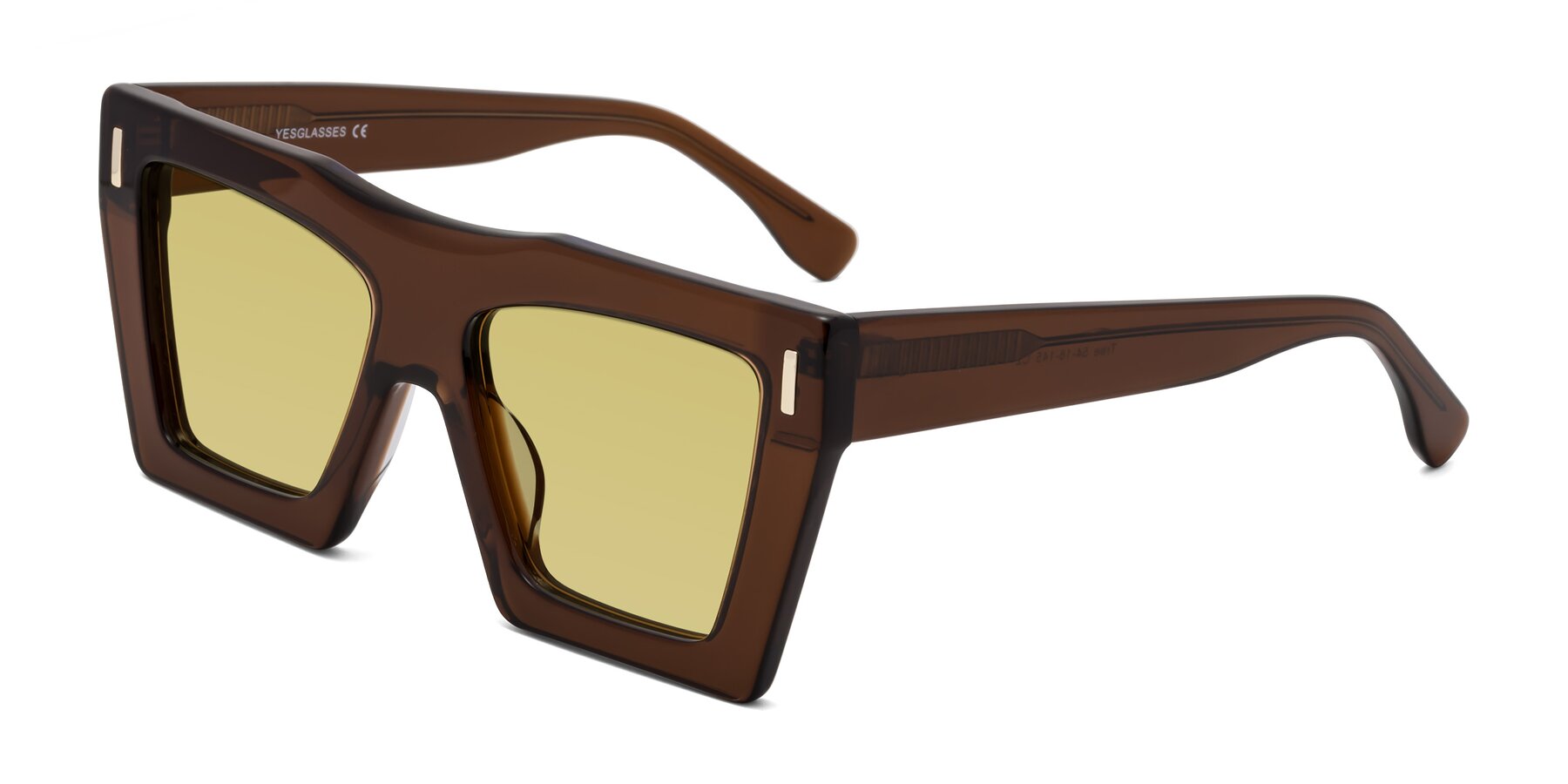 Angle of Tree in Brown with Medium Champagne Tinted Lenses