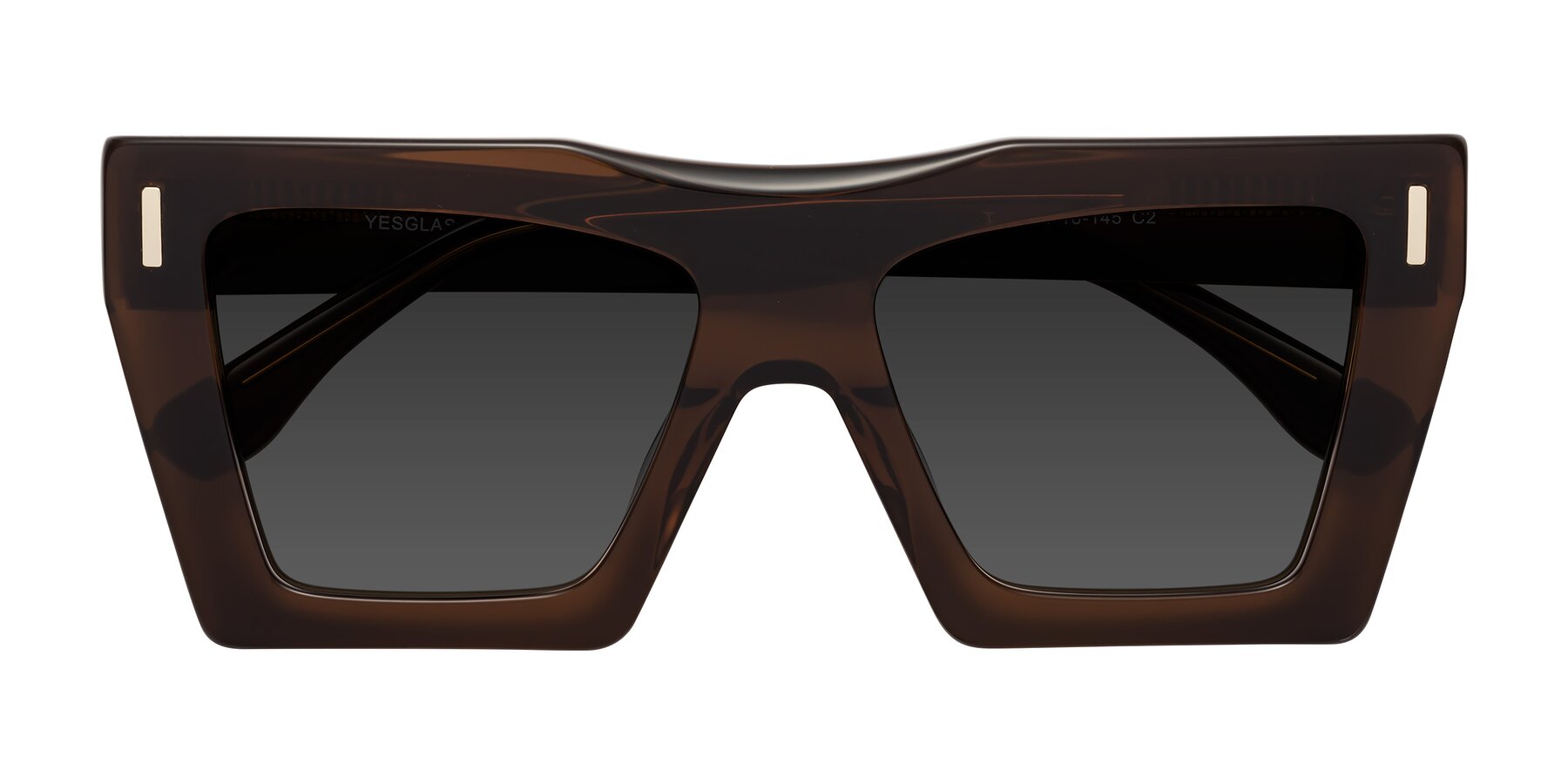 Folded Front of Tree in Brown with Gray Tinted Lenses