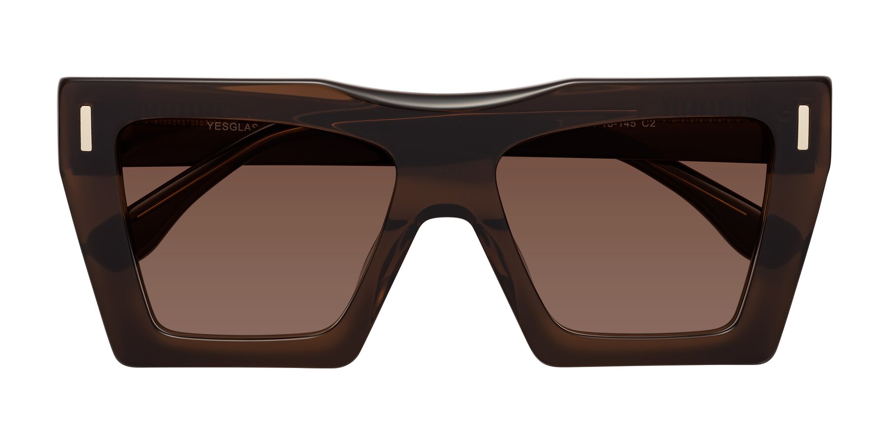 Folded Front of Tree in Brown with Brown Tinted Lenses