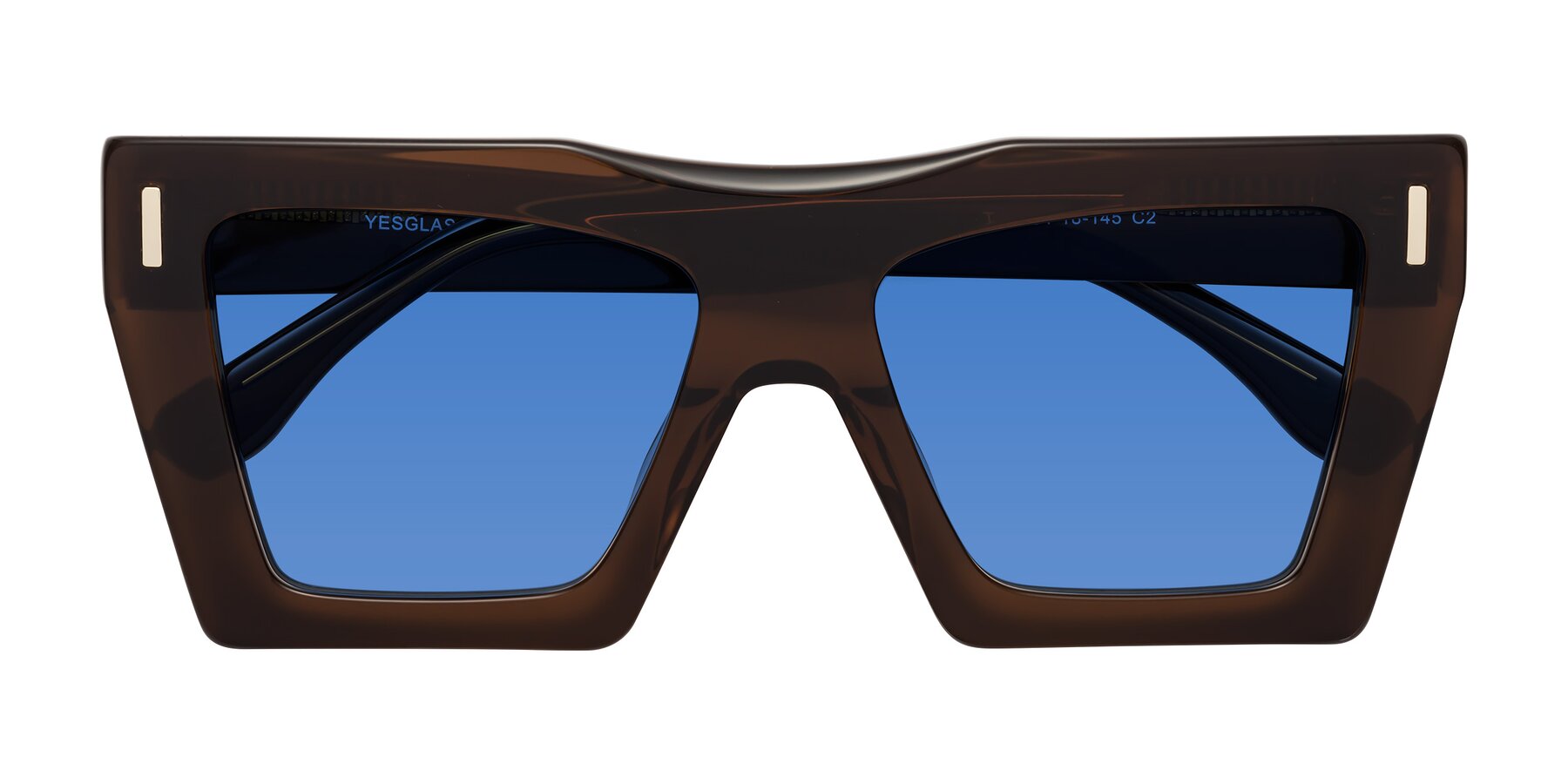 Folded Front of Tree in Brown with Blue Tinted Lenses