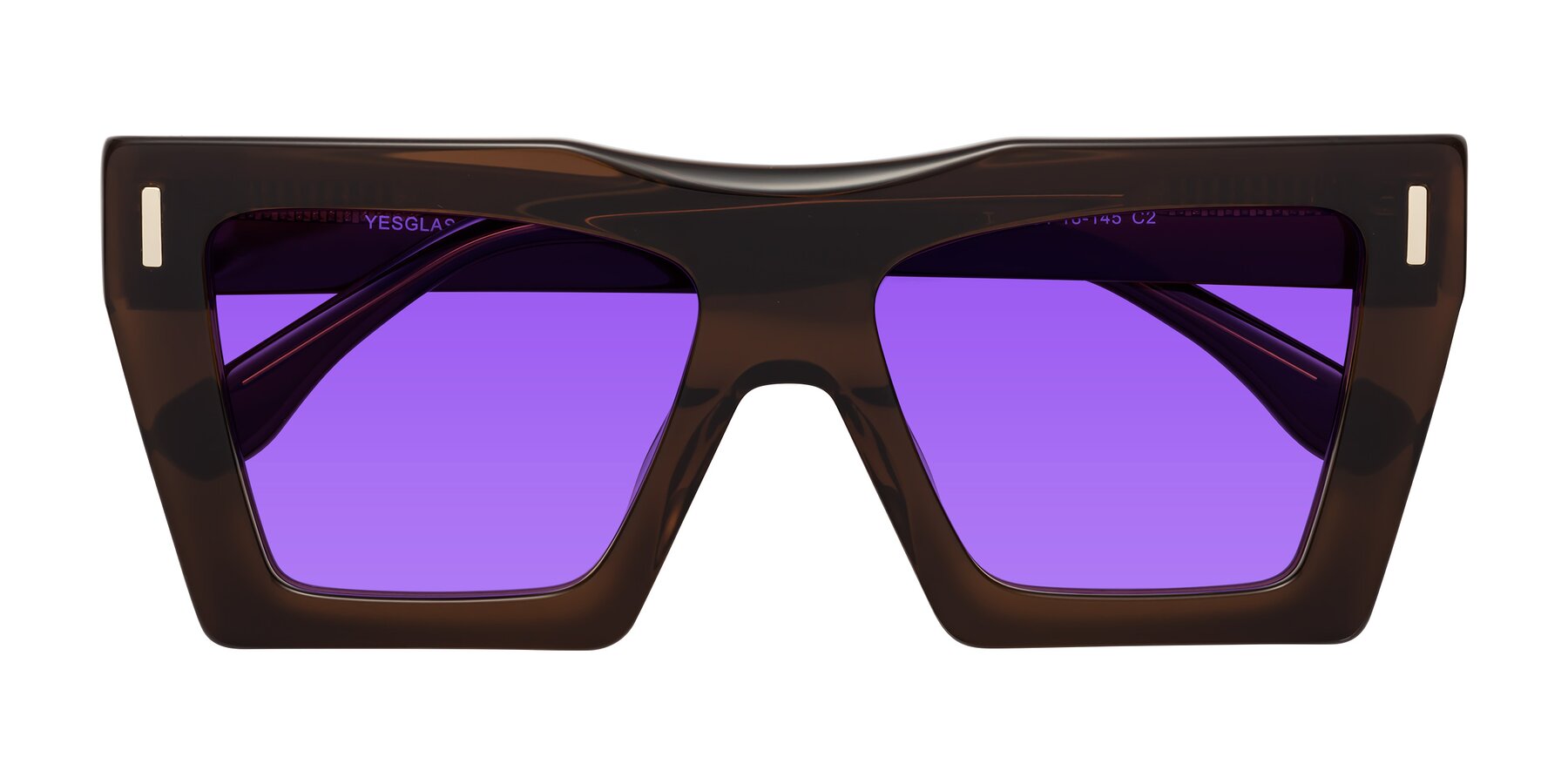 Folded Front of Tree in Brown with Purple Tinted Lenses