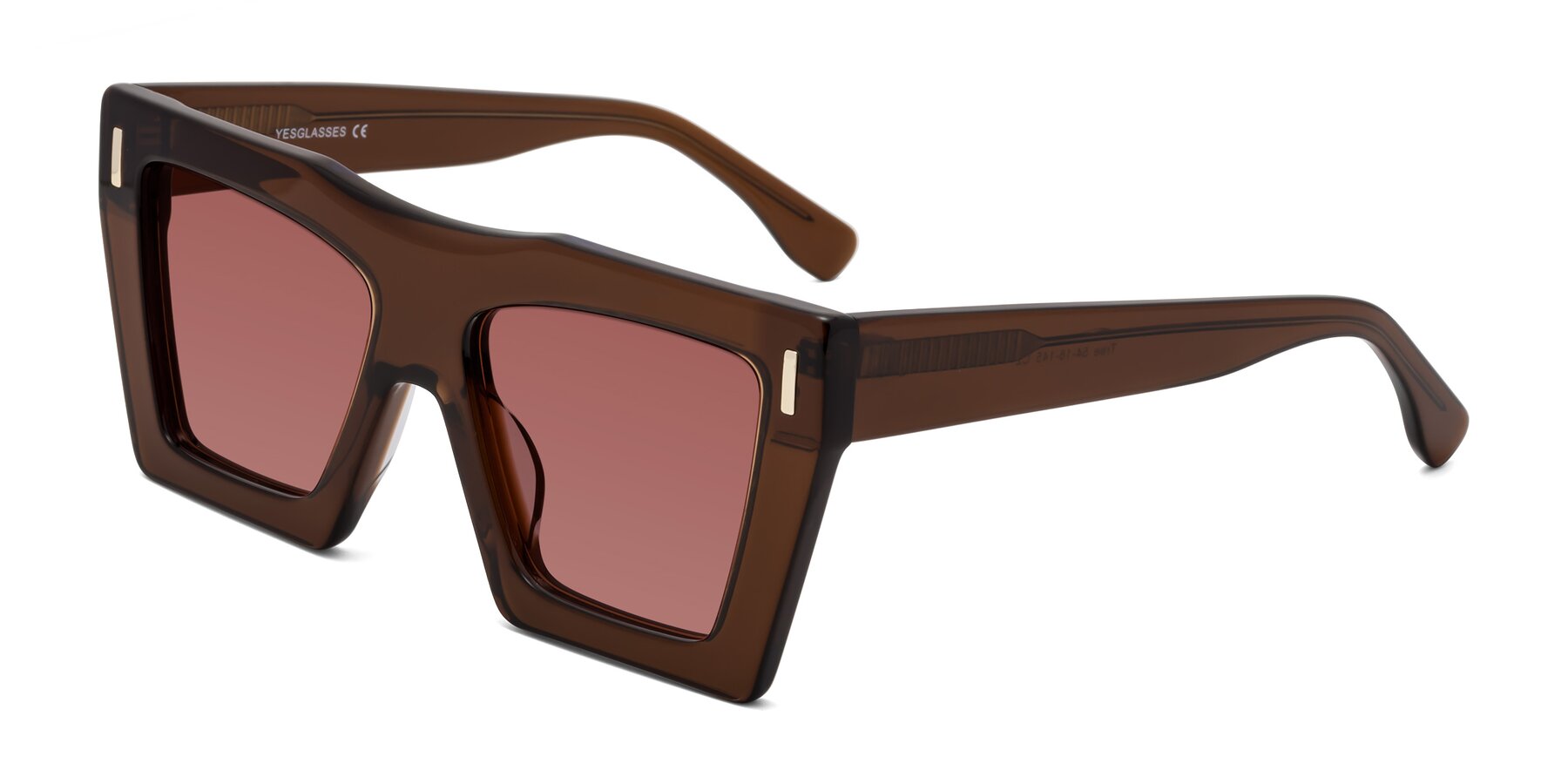 Angle of Tree in Brown with Garnet Tinted Lenses