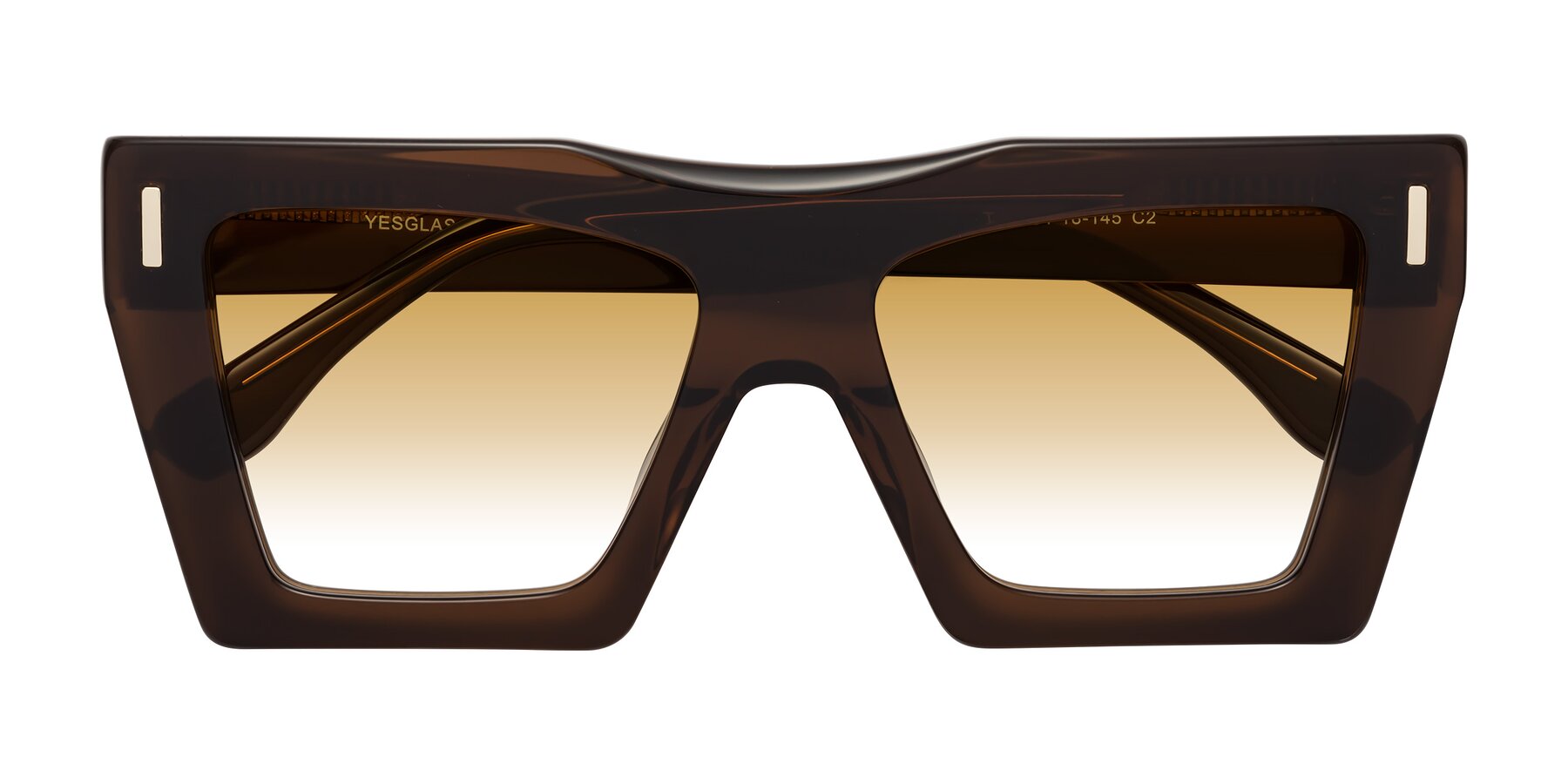 Folded Front of Tree in Brown with Champagne Gradient Lenses