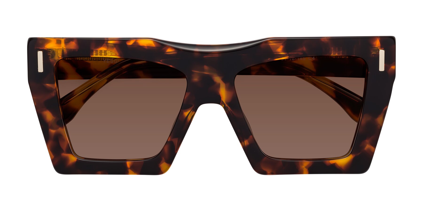 Folded Front of Tree in Tortoise with Brown Tinted Lenses