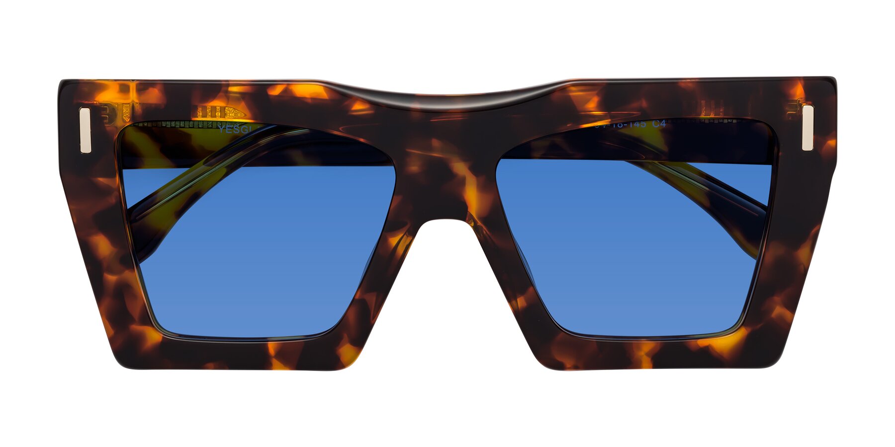 Folded Front of Tree in Tortoise with Blue Tinted Lenses