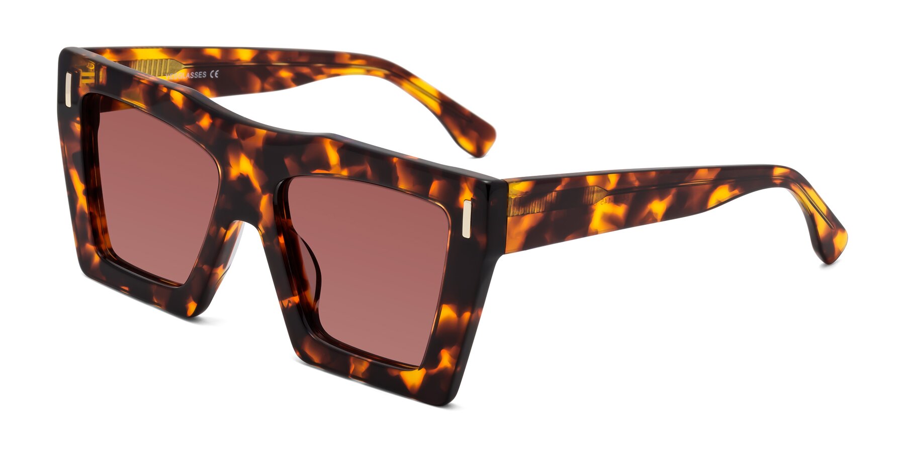 Angle of Tree in Tortoise with Garnet Tinted Lenses