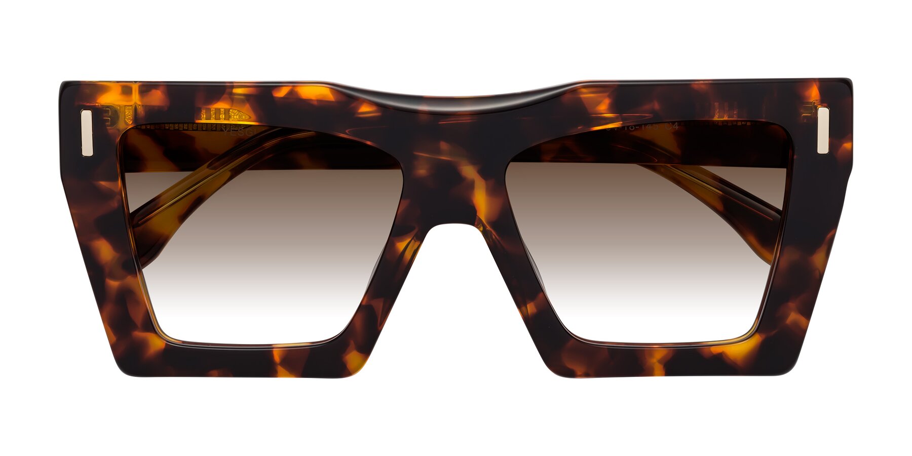 Folded Front of Tree in Tortoise with Brown Gradient Lenses