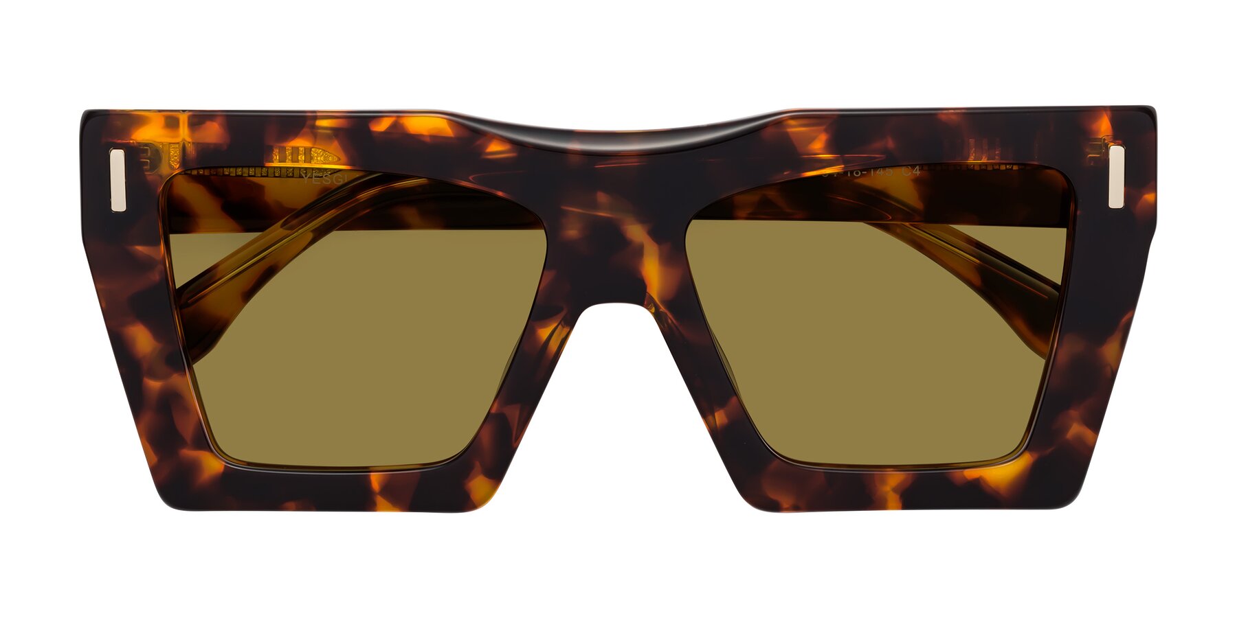 Folded Front of Tree in Tortoise with Brown Polarized Lenses