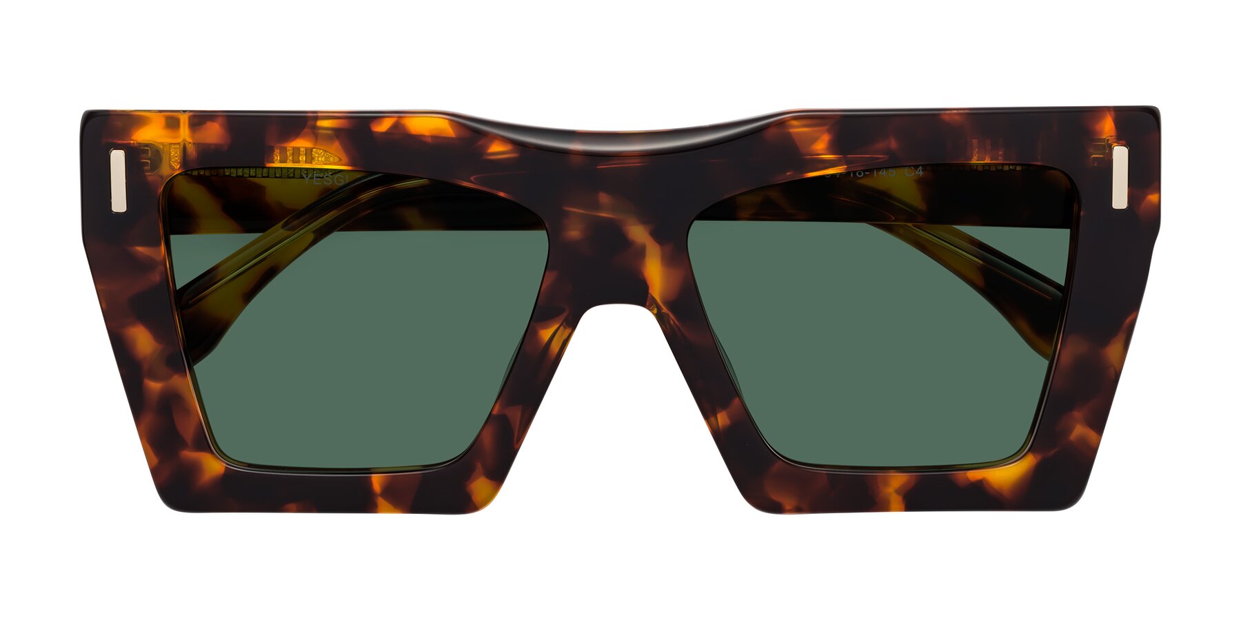 Folded Front of Tree in Tortoise with Green Polarized Lenses