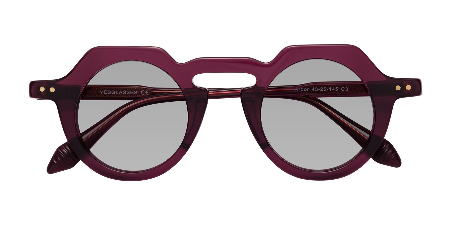 Folded Front of Arbor in Deep Purple with Light Gray Tinted Lenses