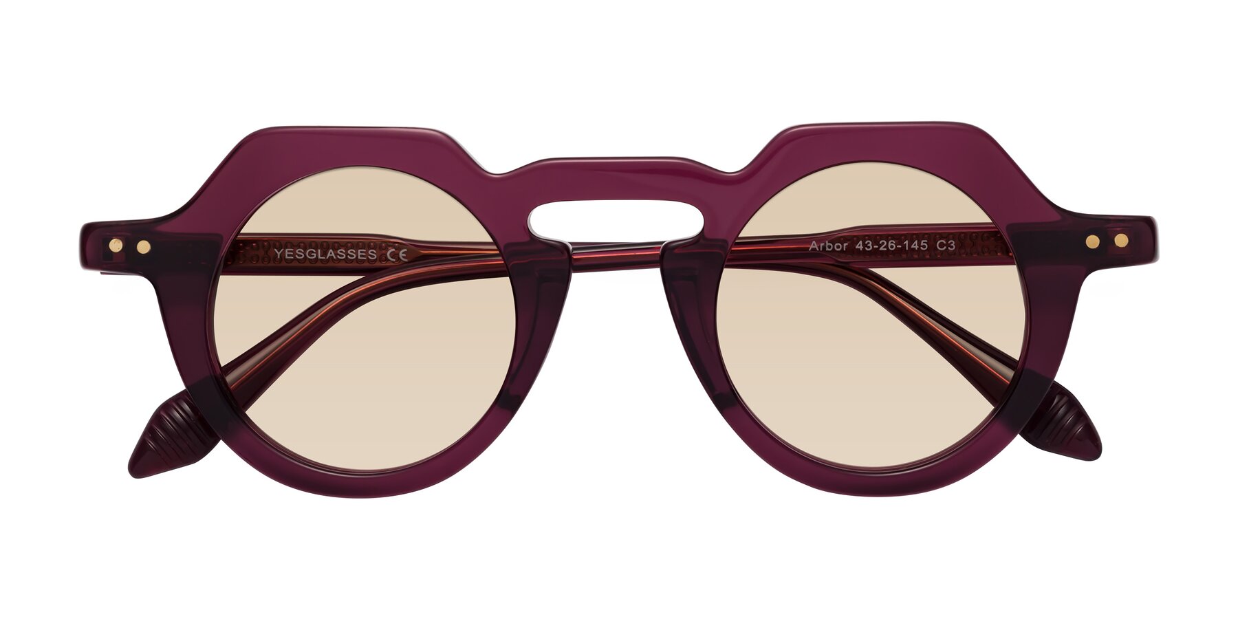 Folded Front of Arbor in Deep Purple with Light Brown Tinted Lenses